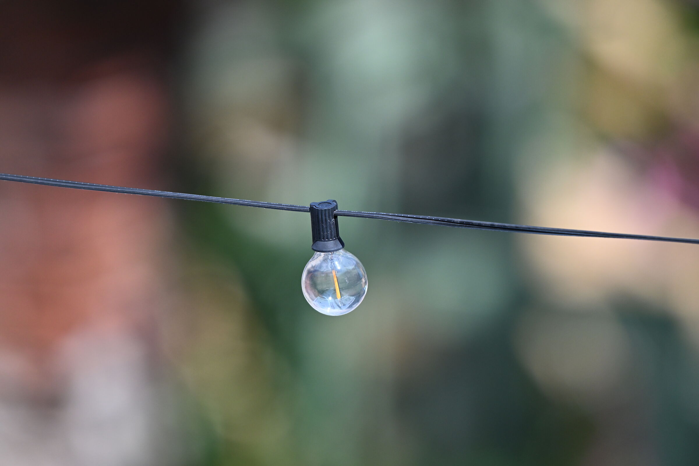 Prova Z8 con 180-600 (Test con sfocato)