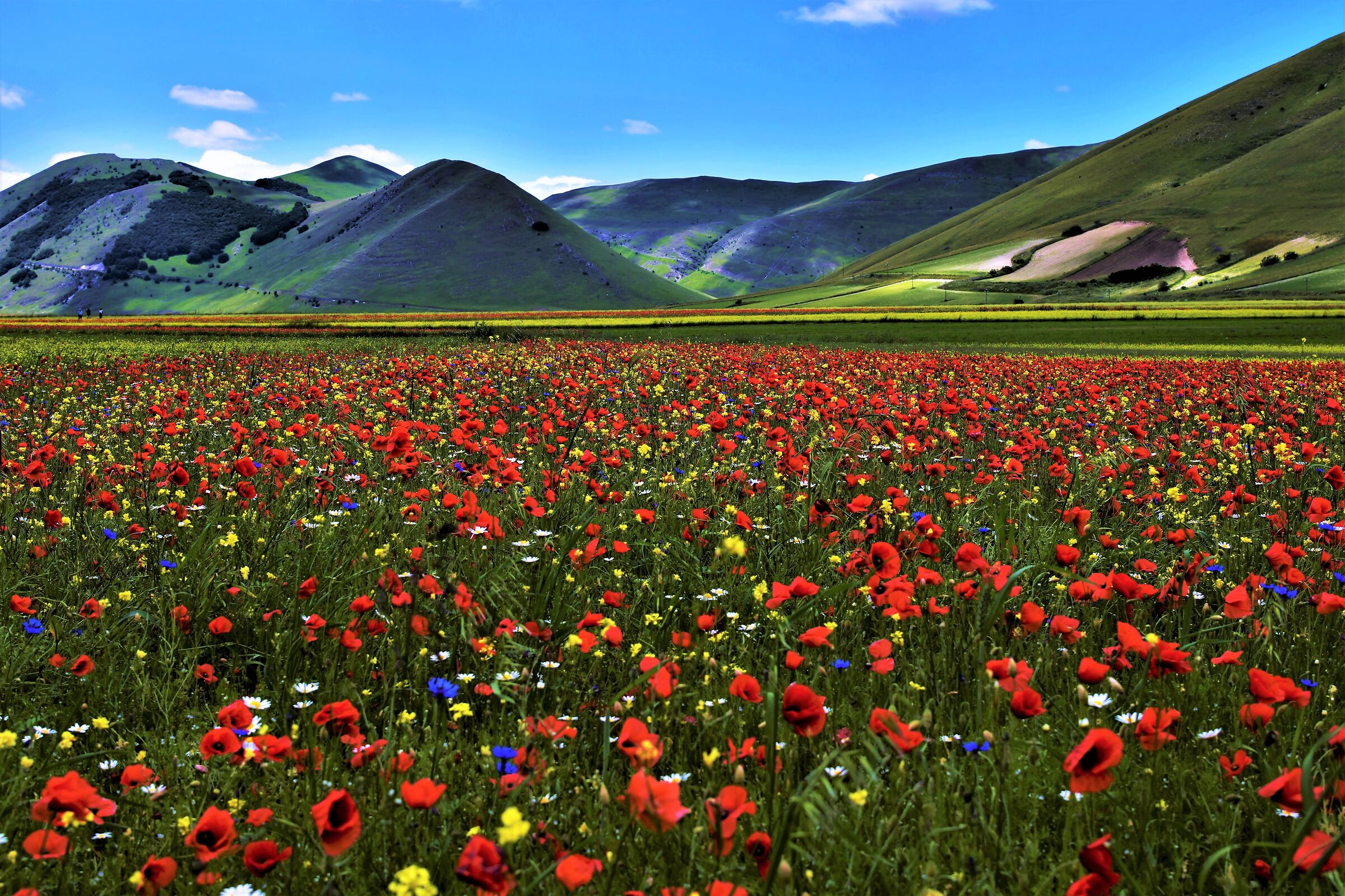 Il Paradiso all'improvviso