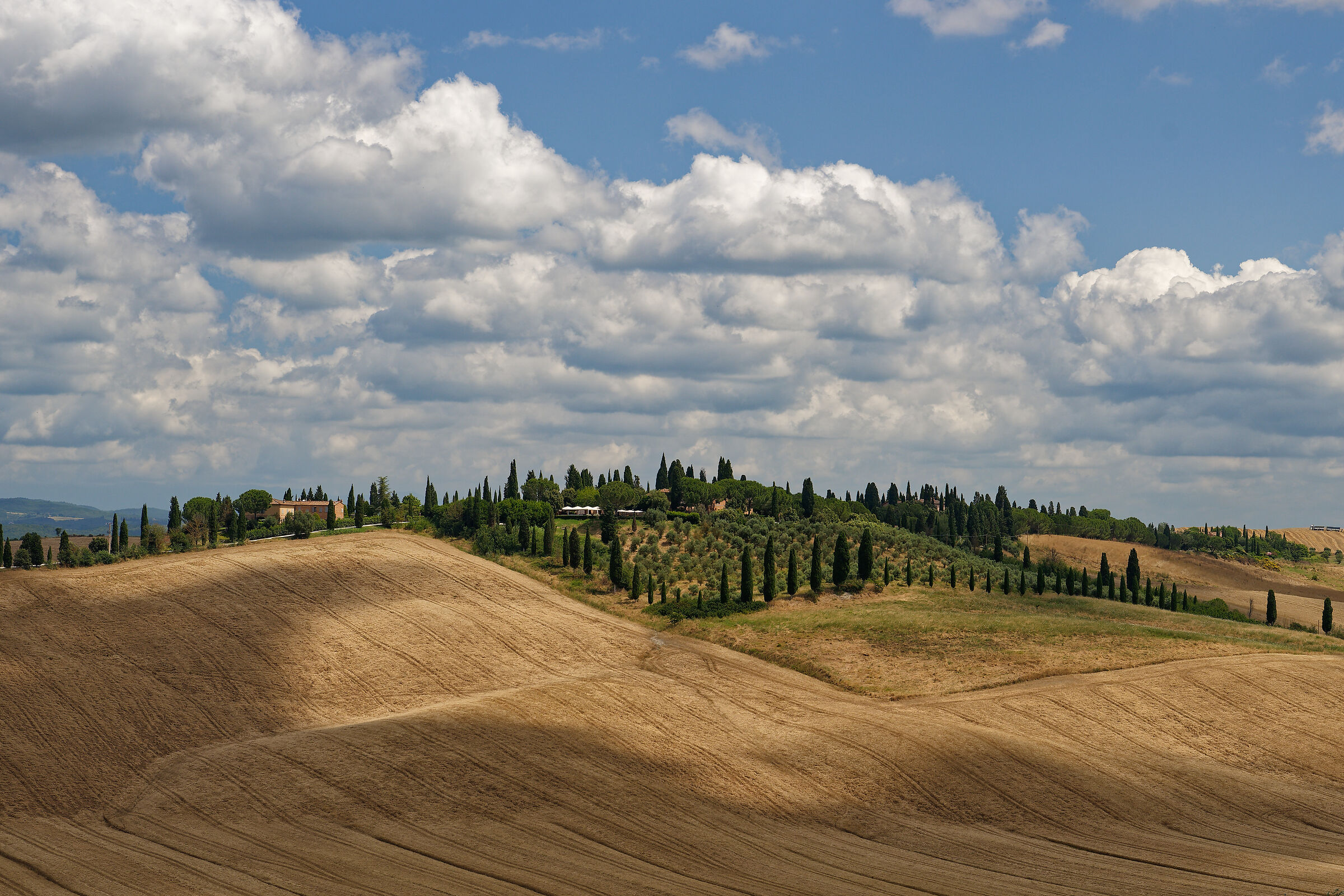 Crete Senesi
