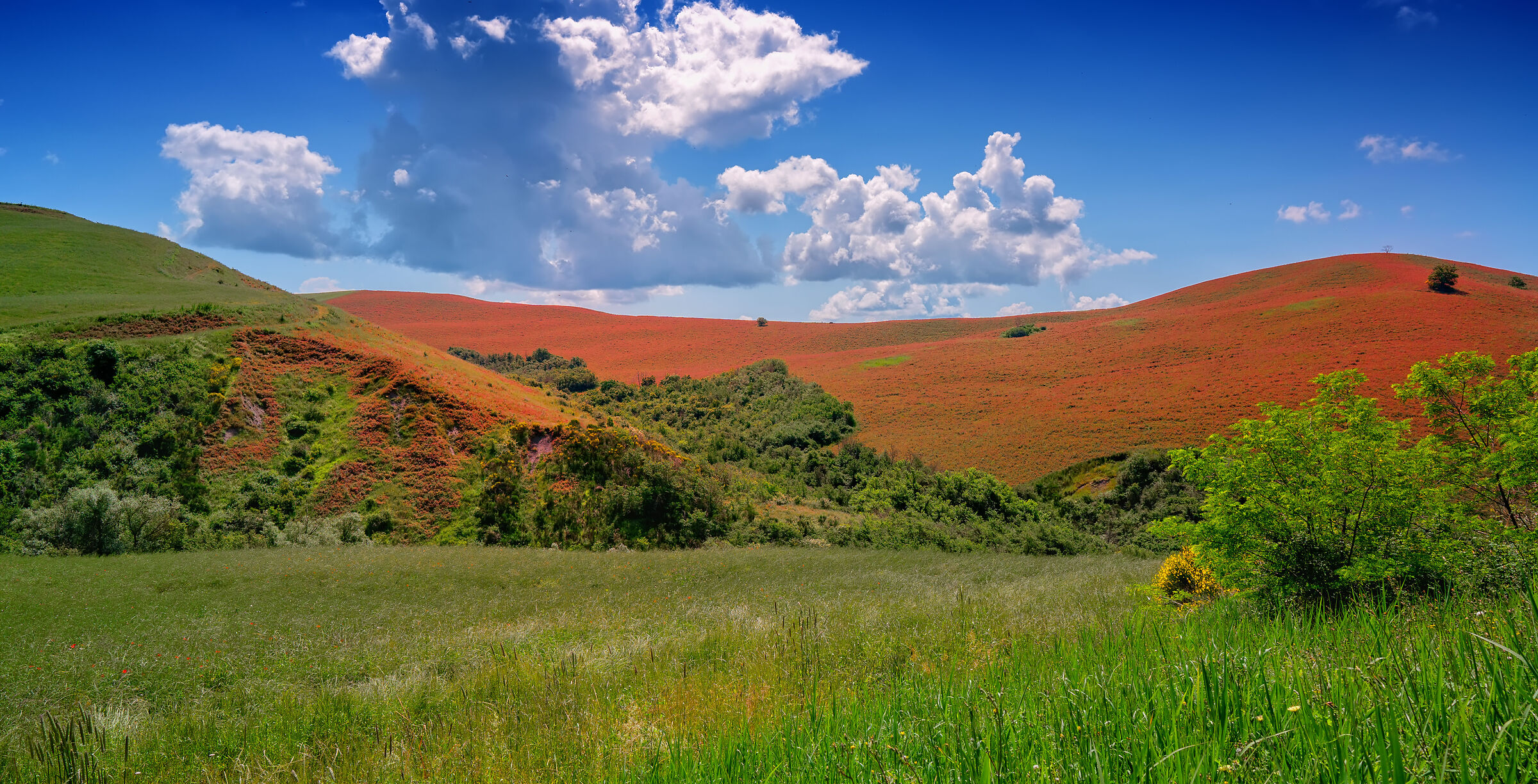 Val d'Orcia - Collina di sulla