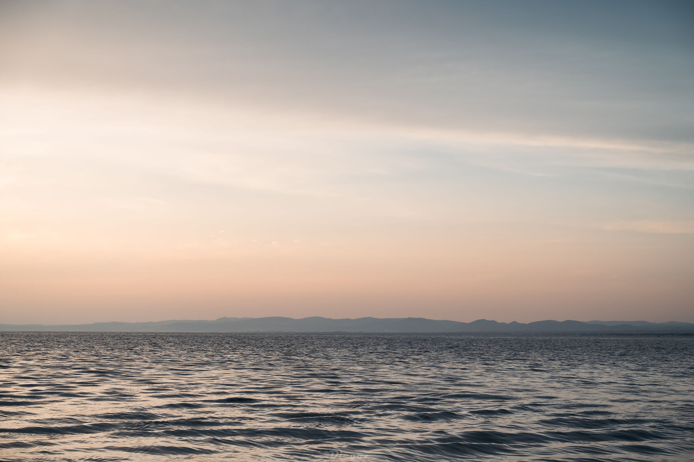 Untitled Photo