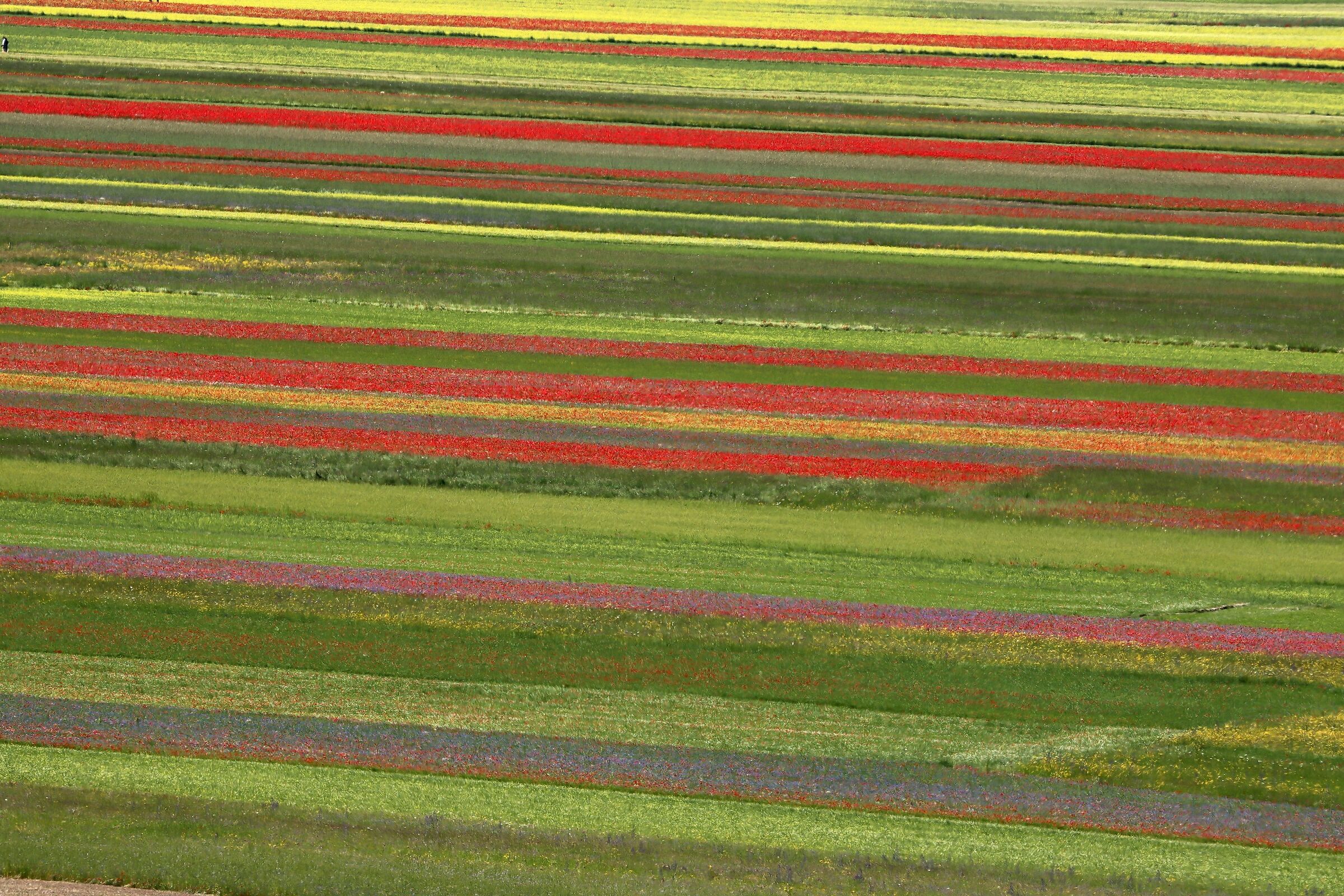 Castelluccio colors