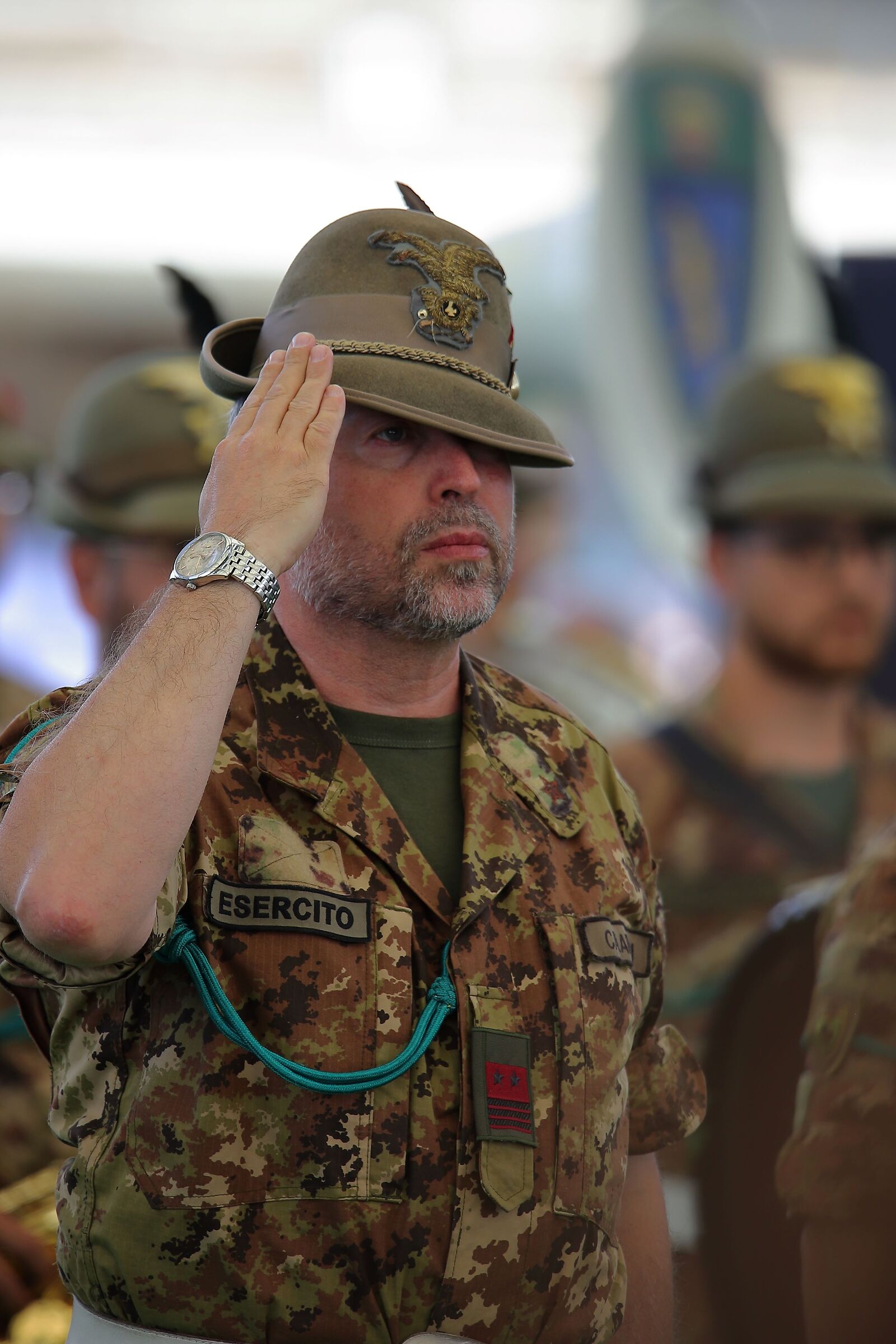 W gli Alpini
