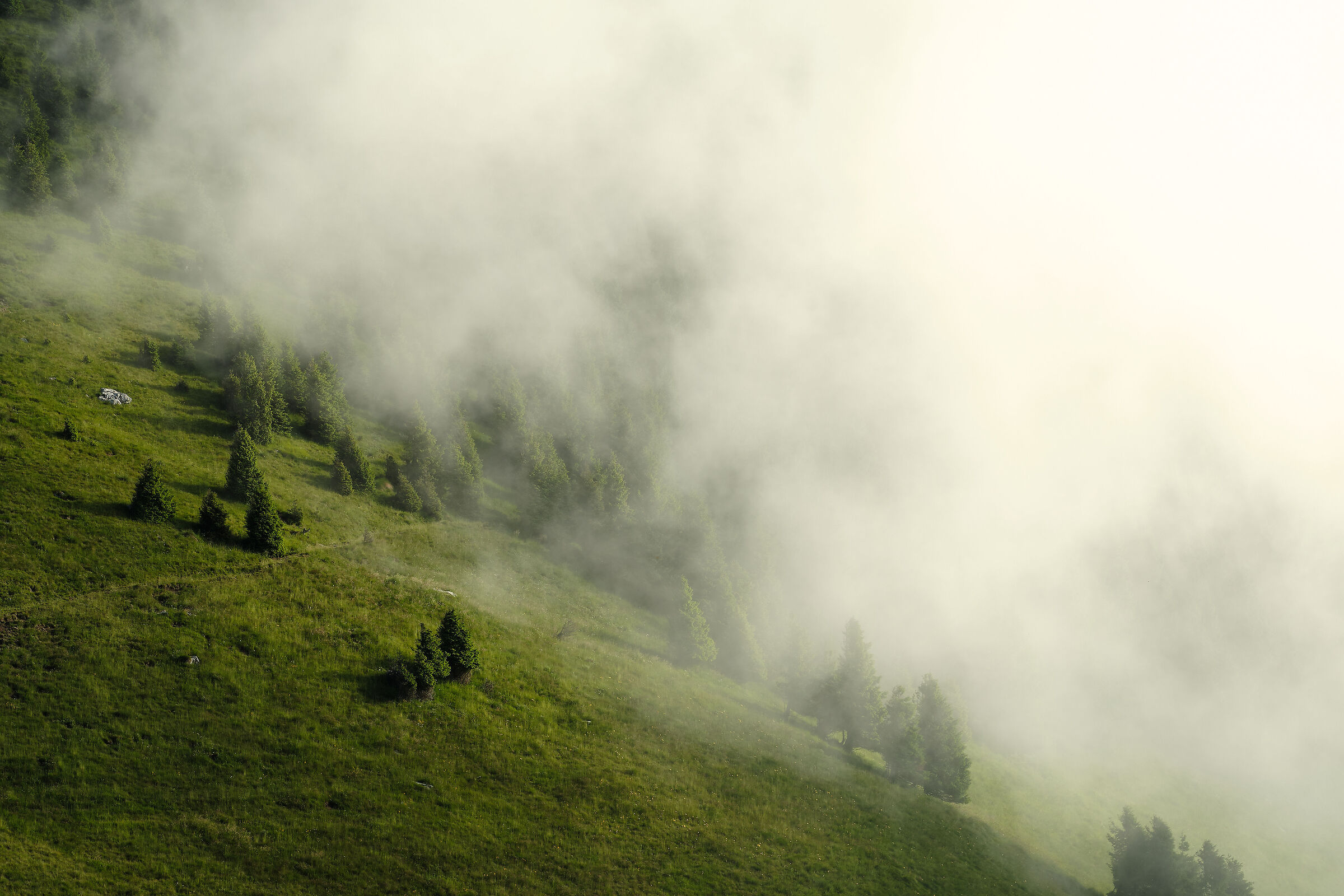 Avanzata inesorabile