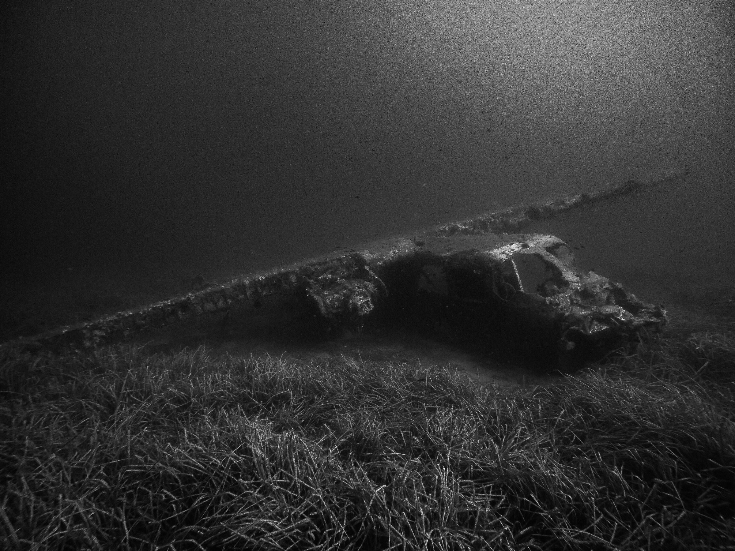 Plane  wreck