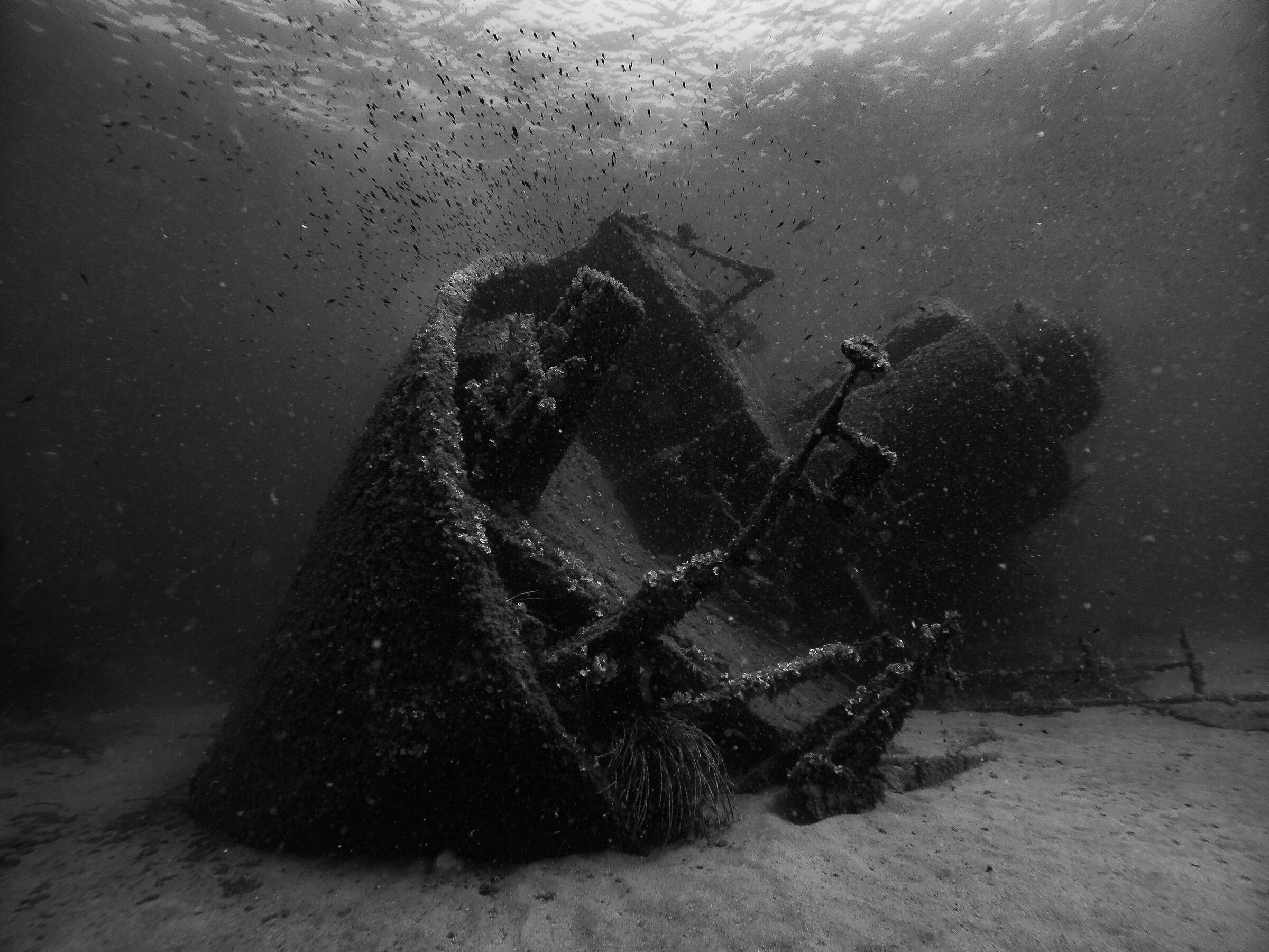 Elviscot wreck