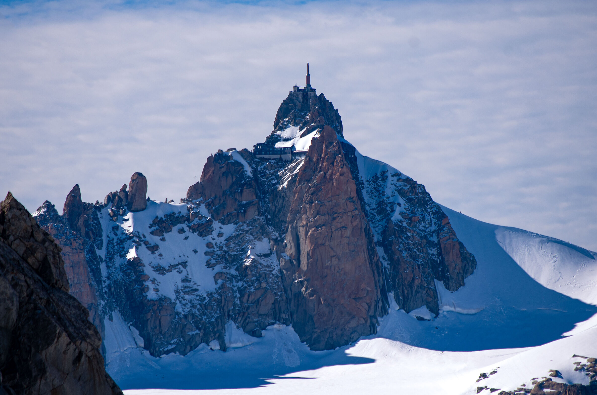 Anguille du Midi