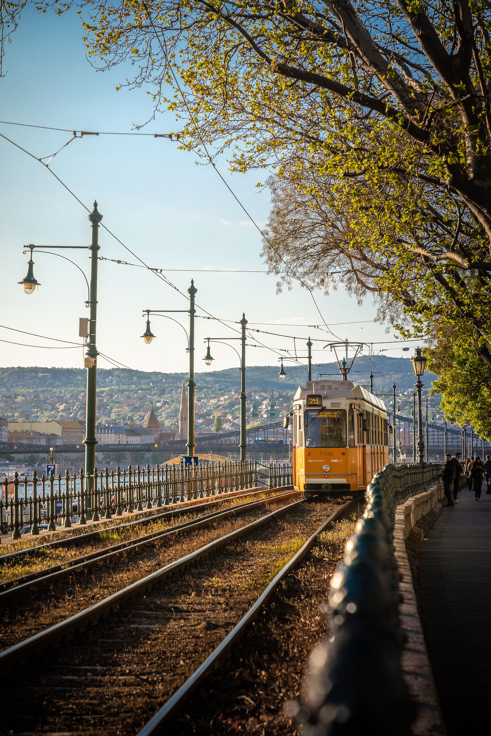 Pest tintura tramonto