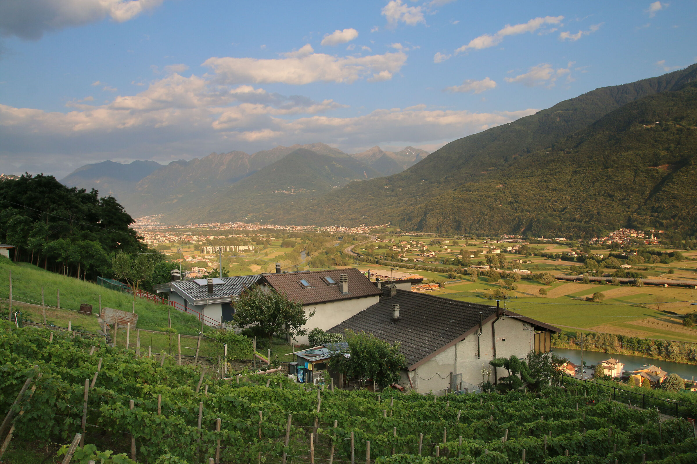 vista Morbegno dal paesino di Cino