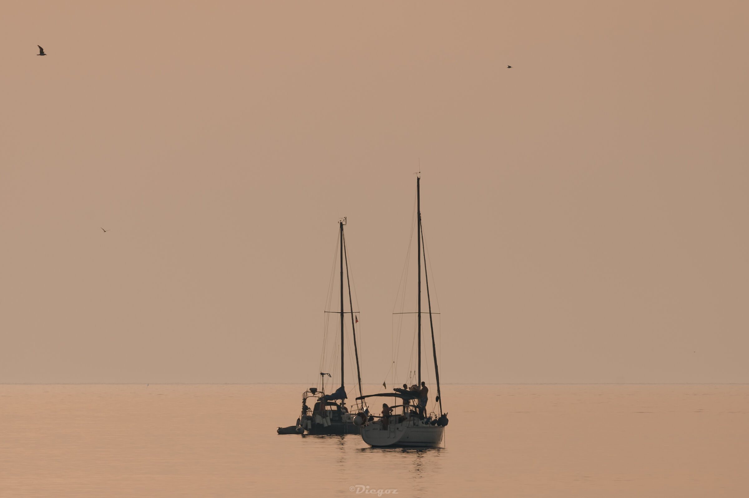 Untitled Photo