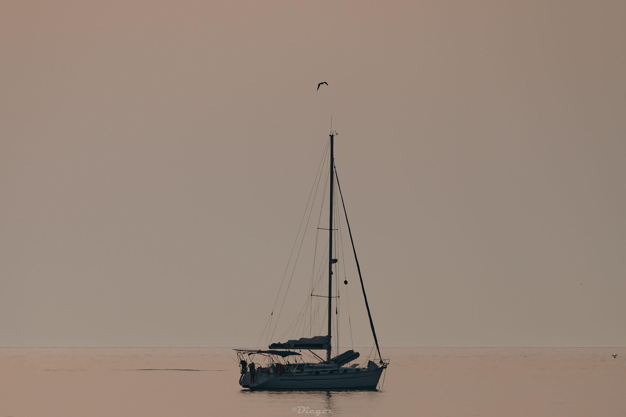 Untitled Photo