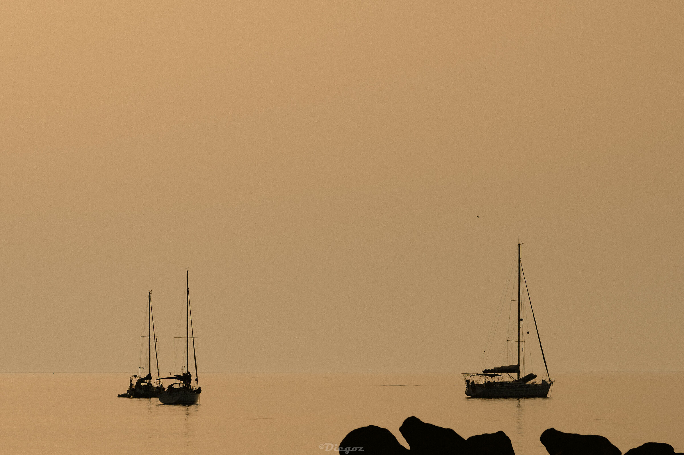 Untitled Photo