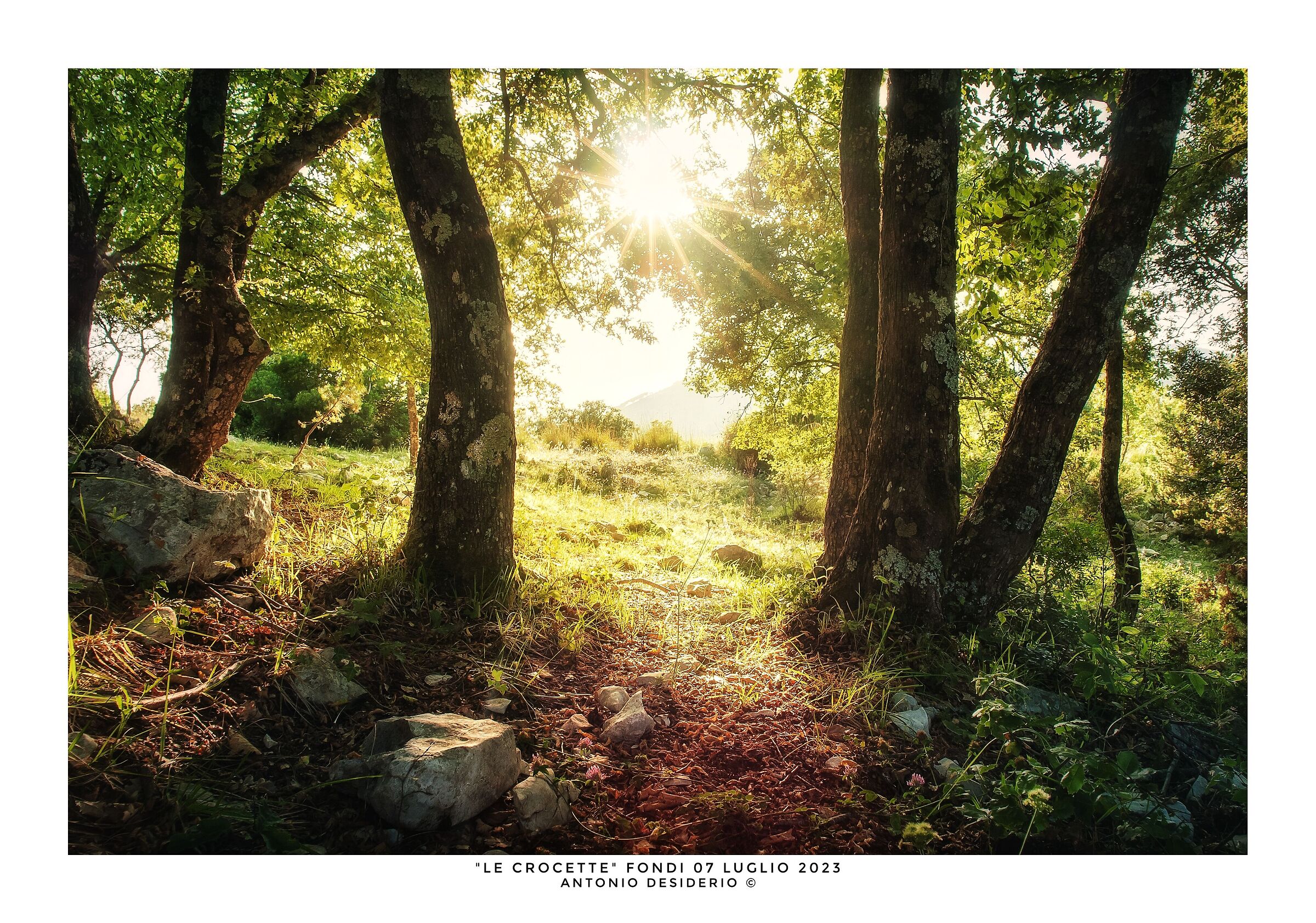 On a hot summer afternoon...