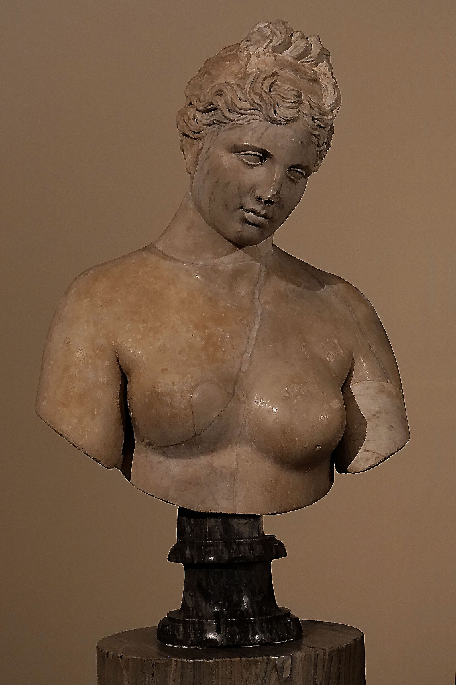 Da Palazzo Altemps - Roma