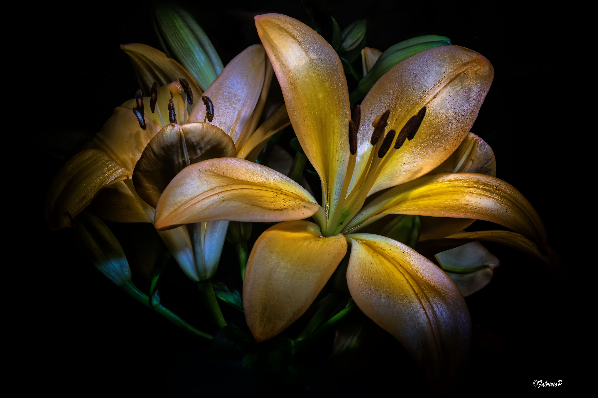 The elegance of being a flower