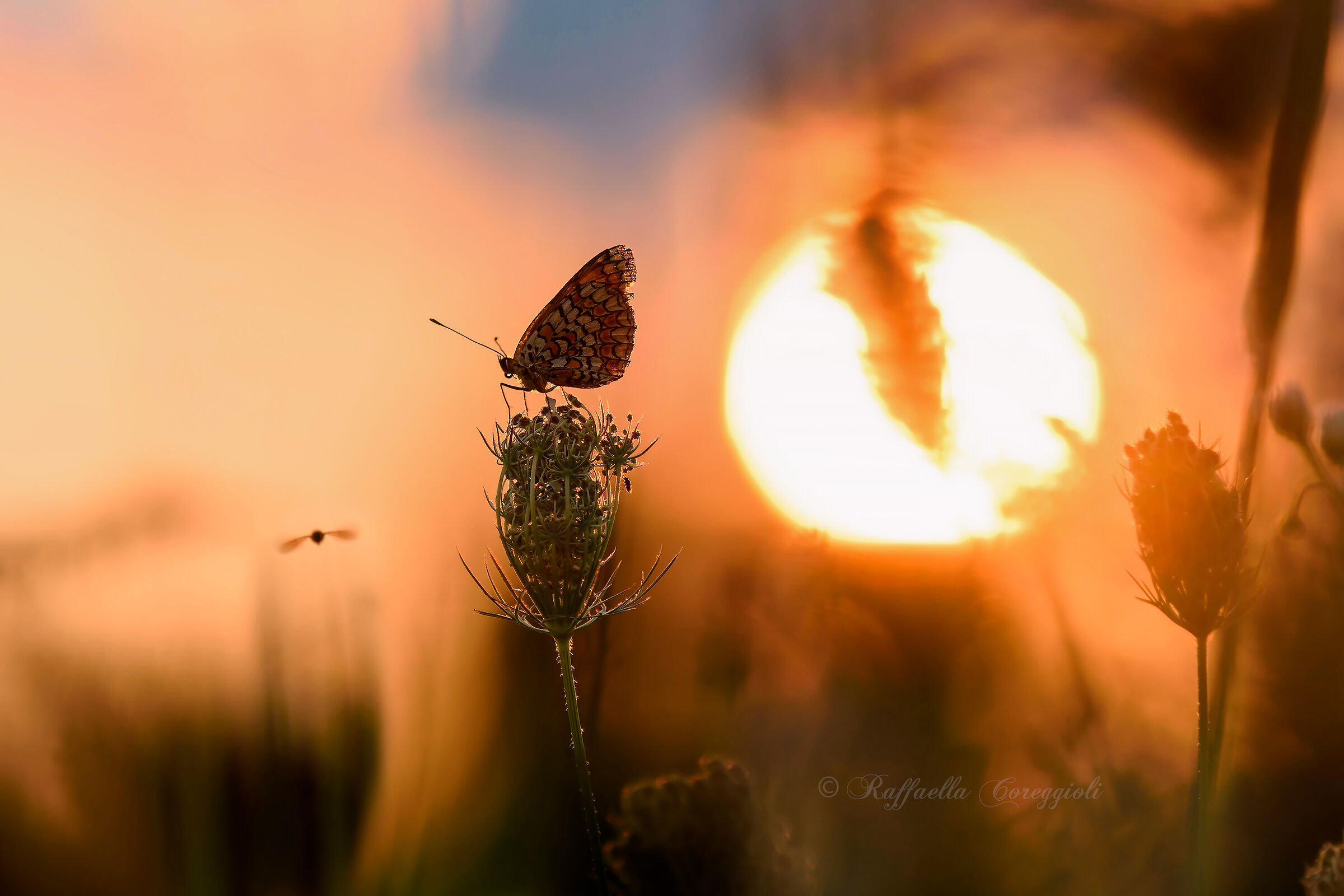 Stopped.... enjoy the Sunset