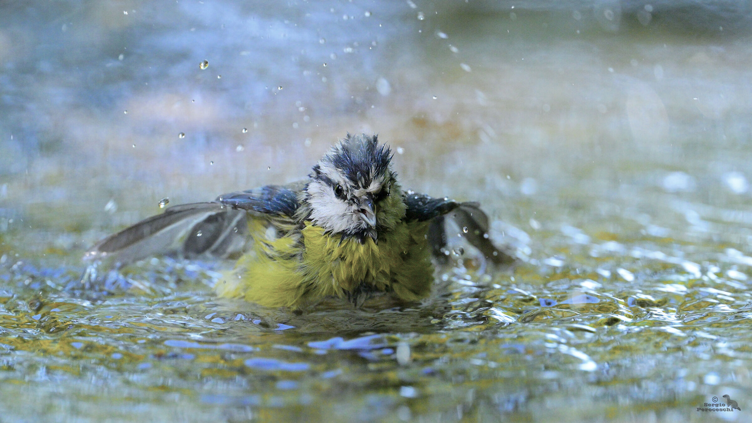 The bath of the blue