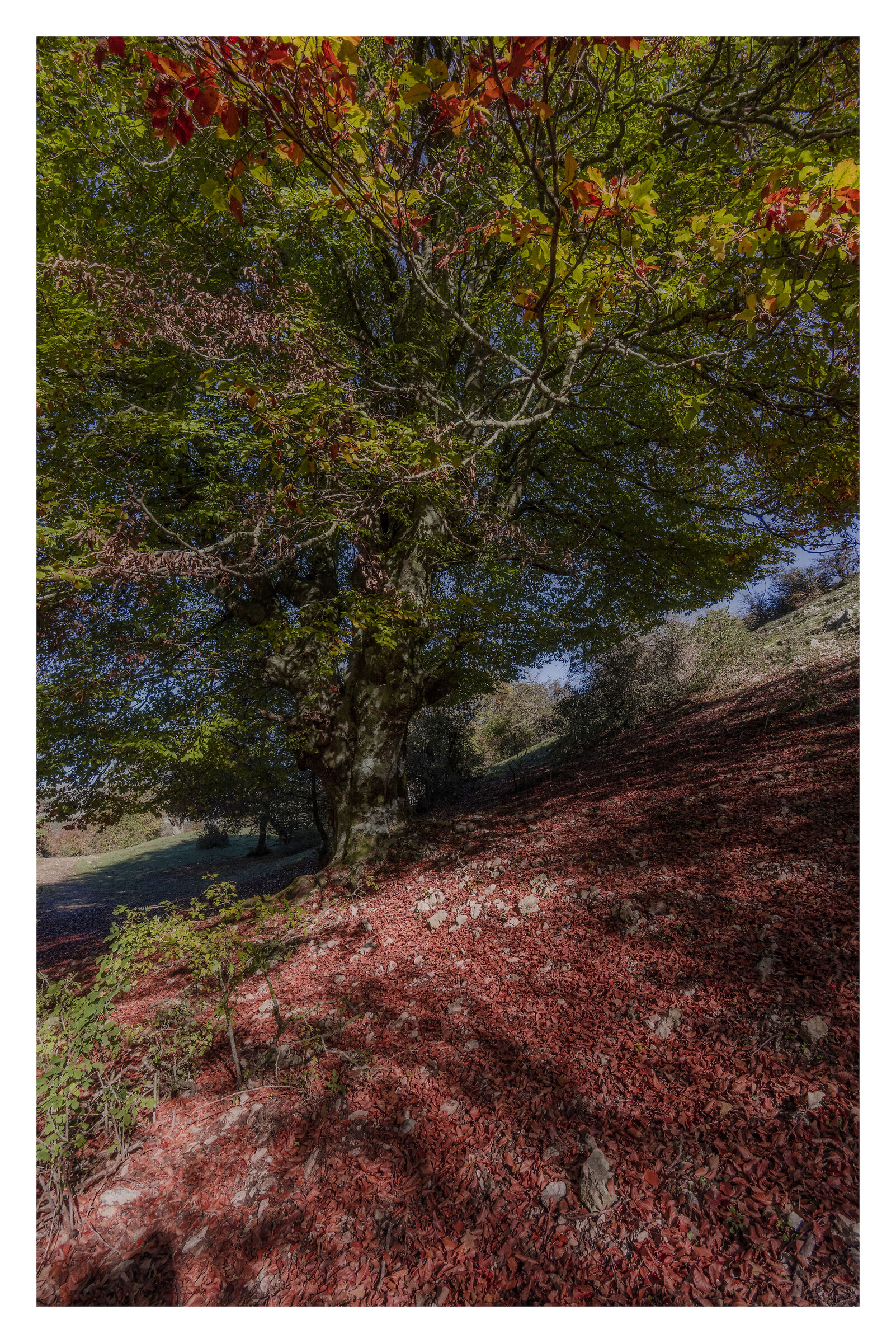 Mountain slope on the way back