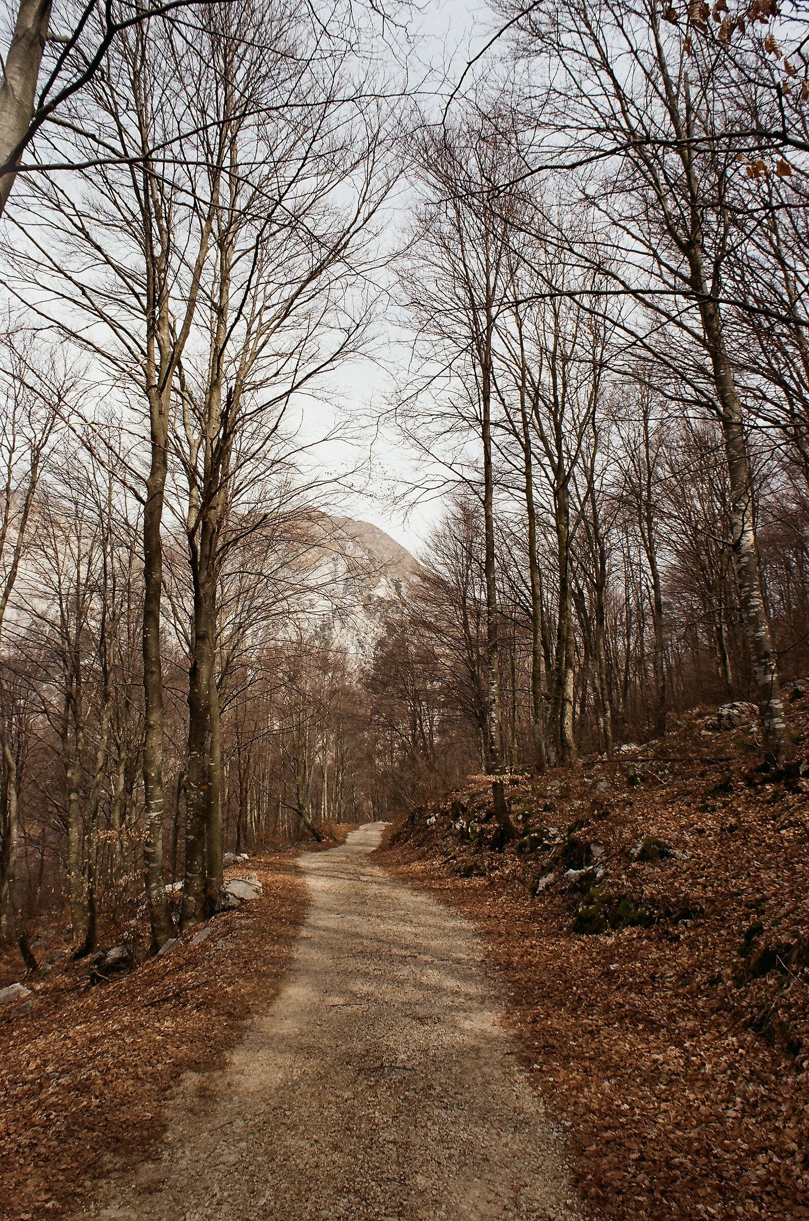 Carnia, fvg, Aprile 2023