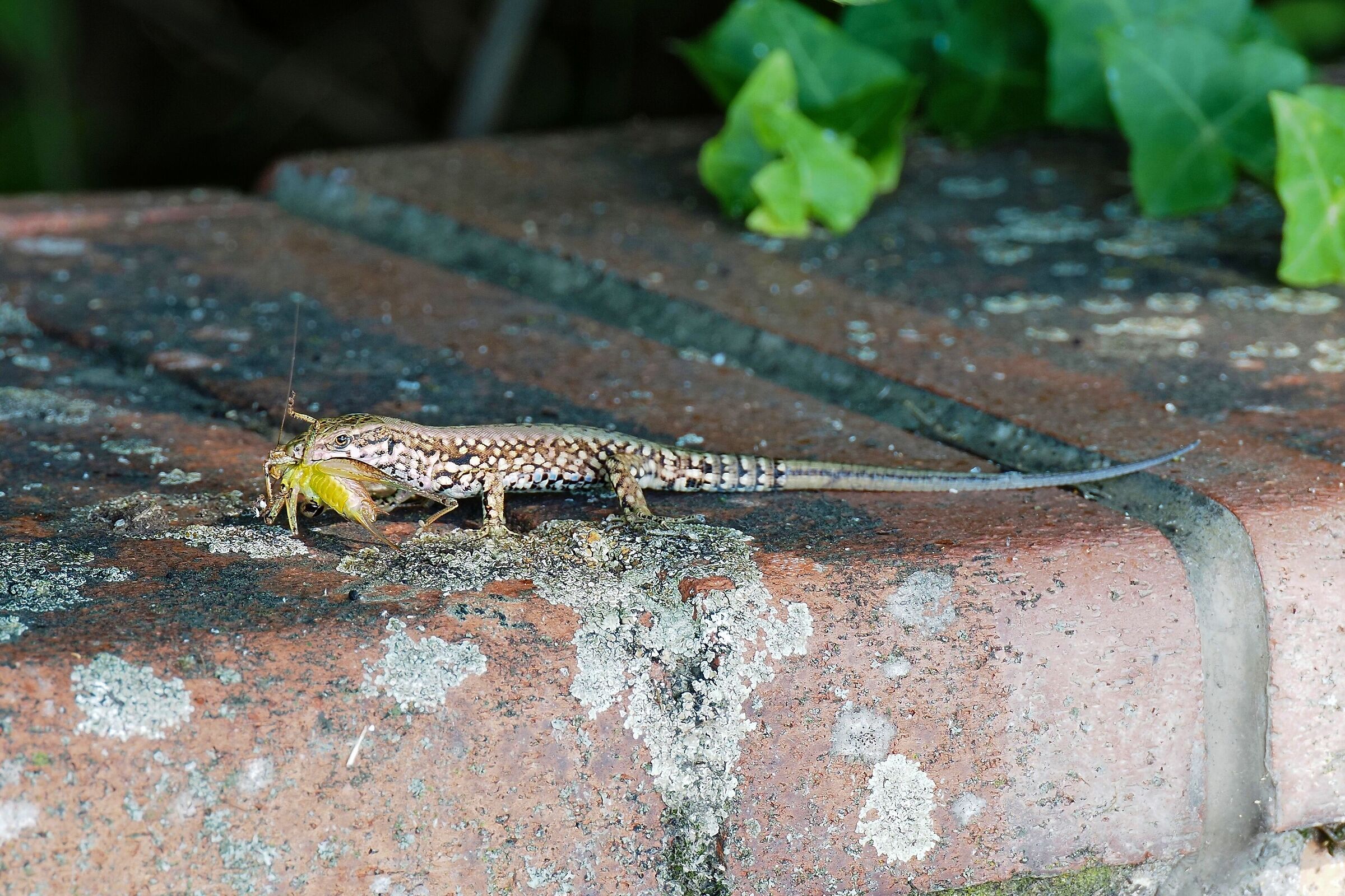 It's a difficult world...