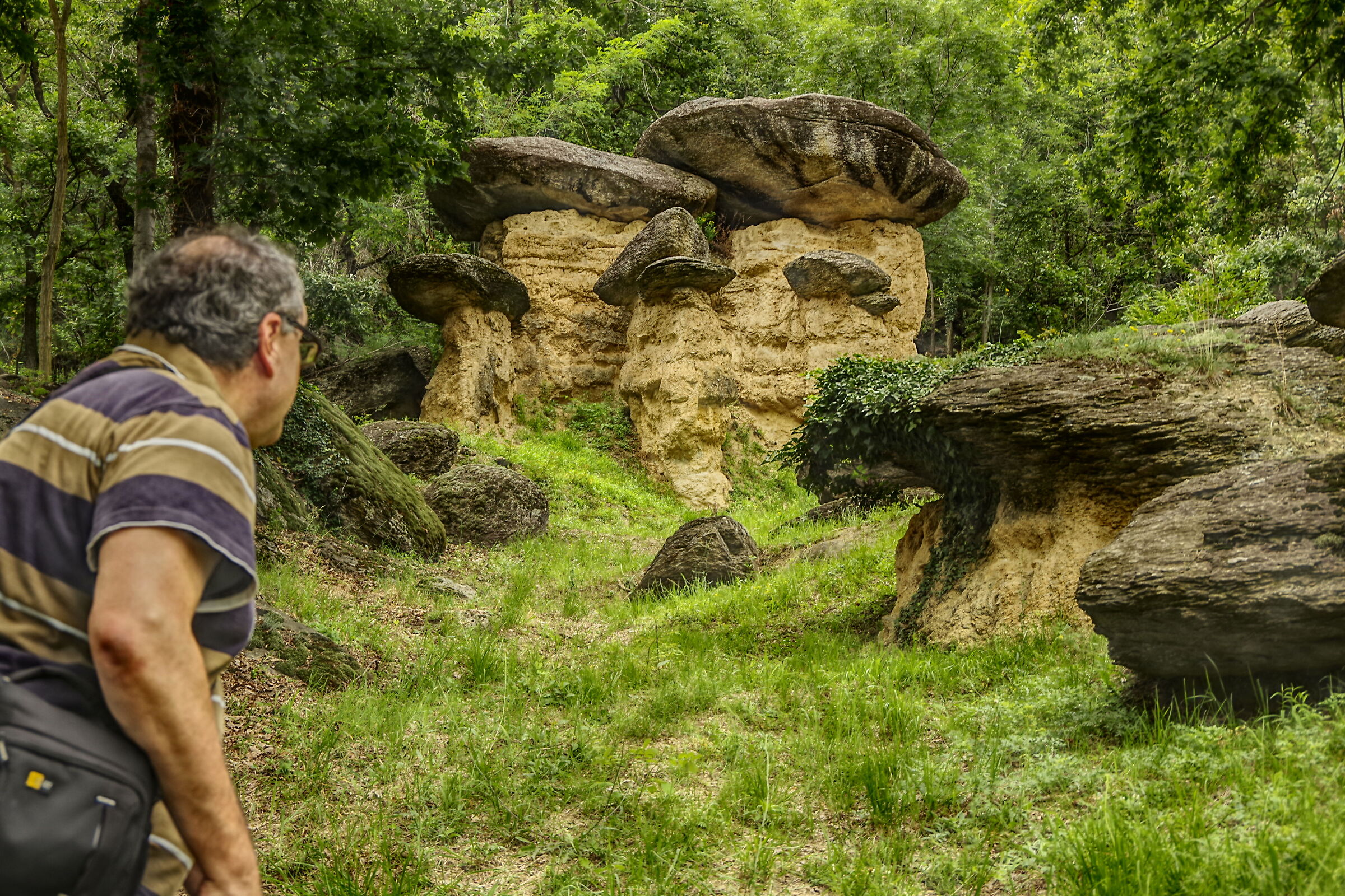 The world of Ciciu di Villar