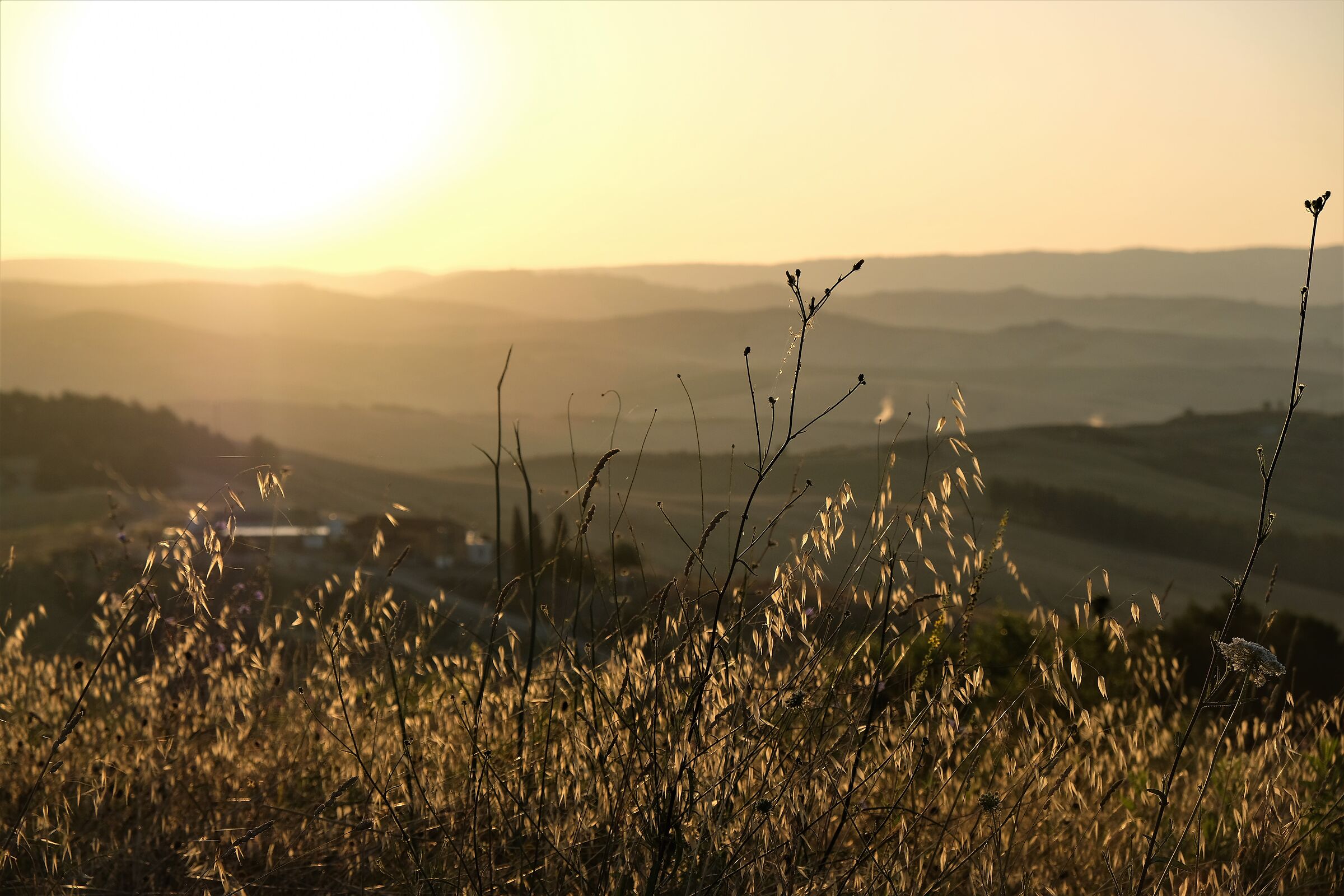 All'alba verso Radicofani