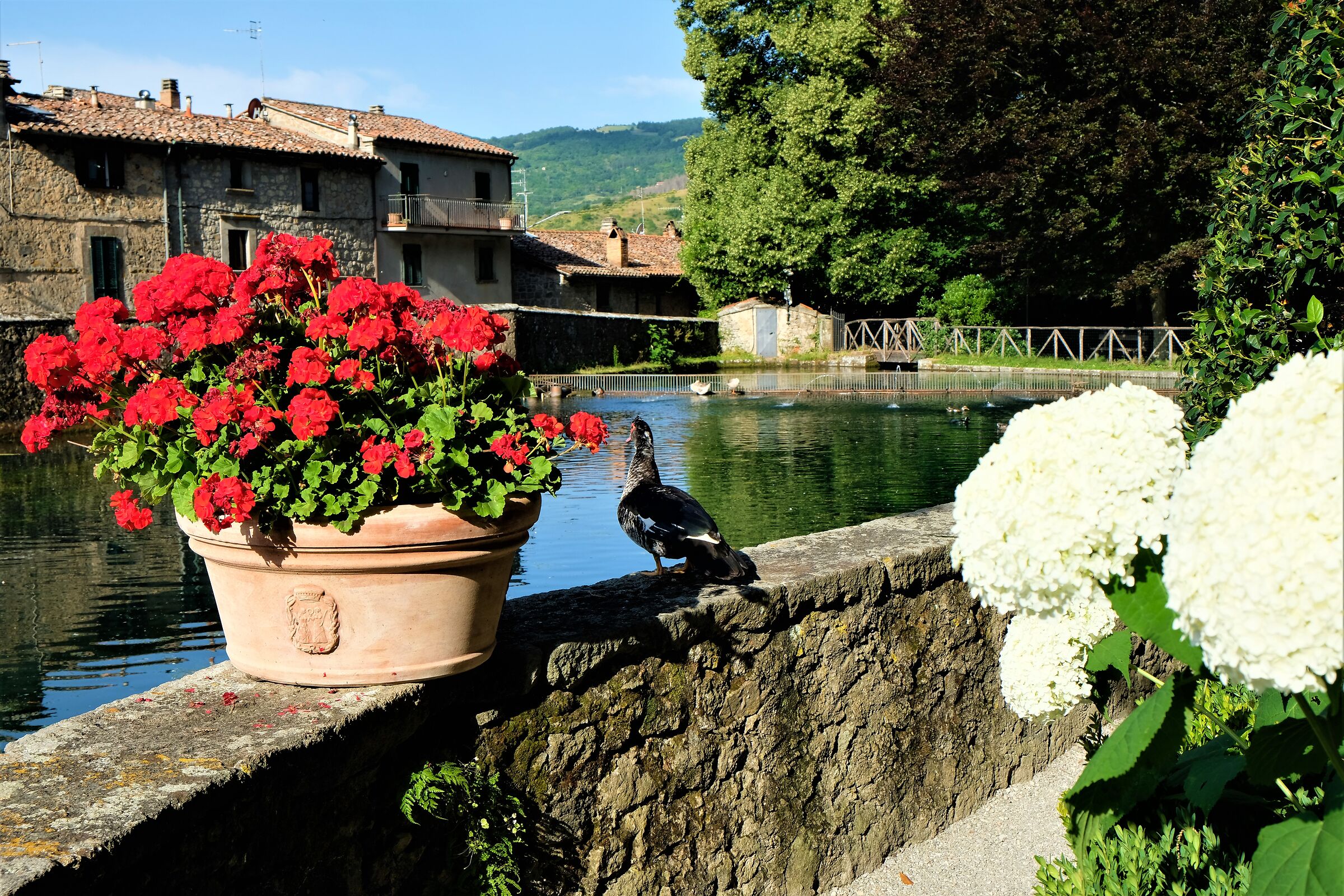 Santa Fiora - La Peschiera