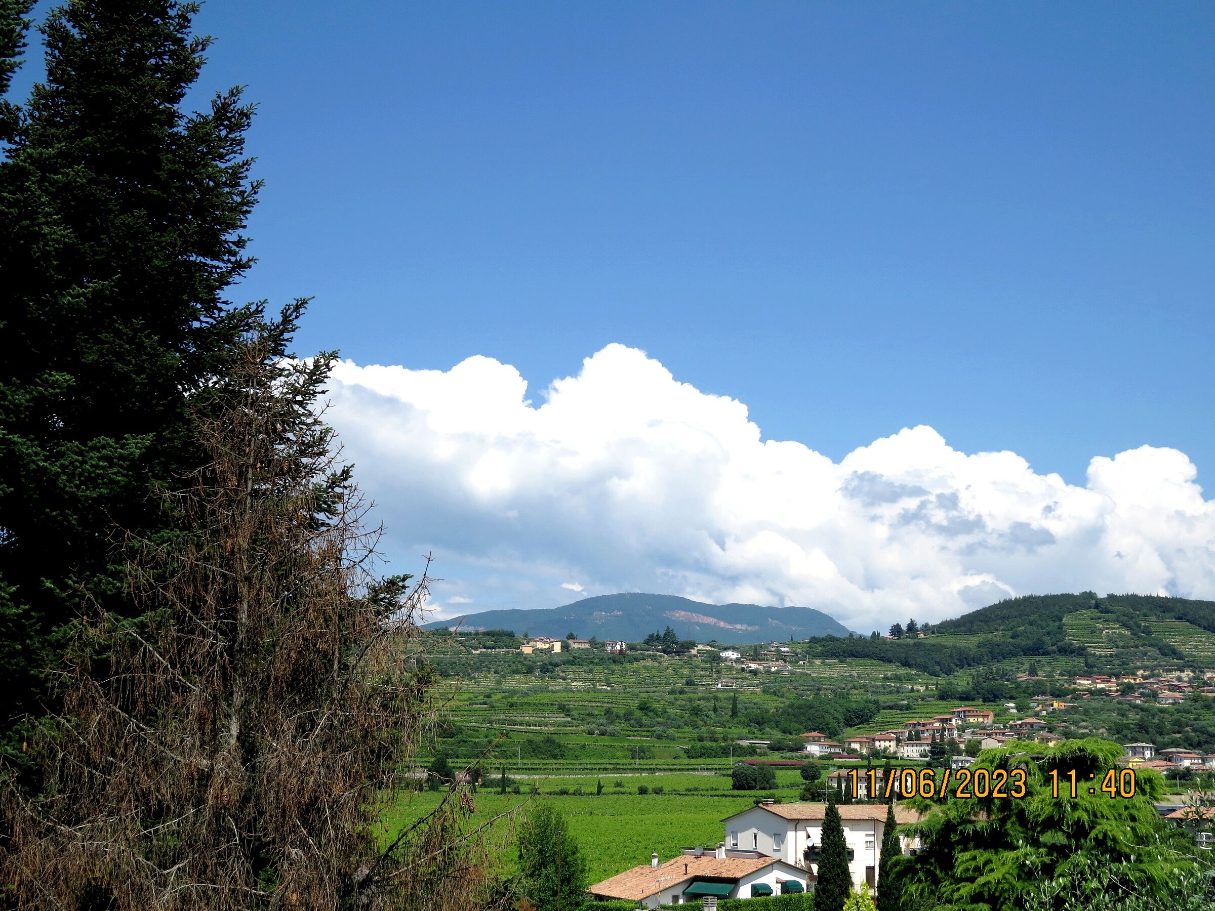 vigneti della Valpolicella