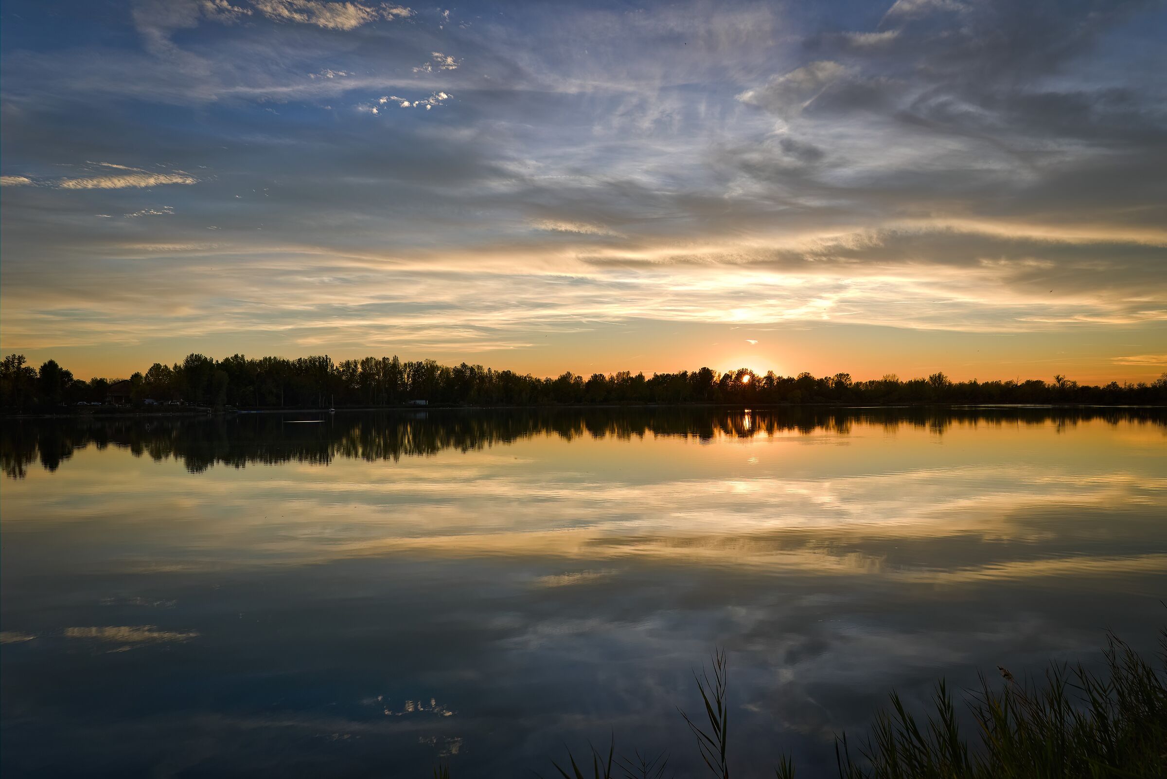 Untitled Photo
