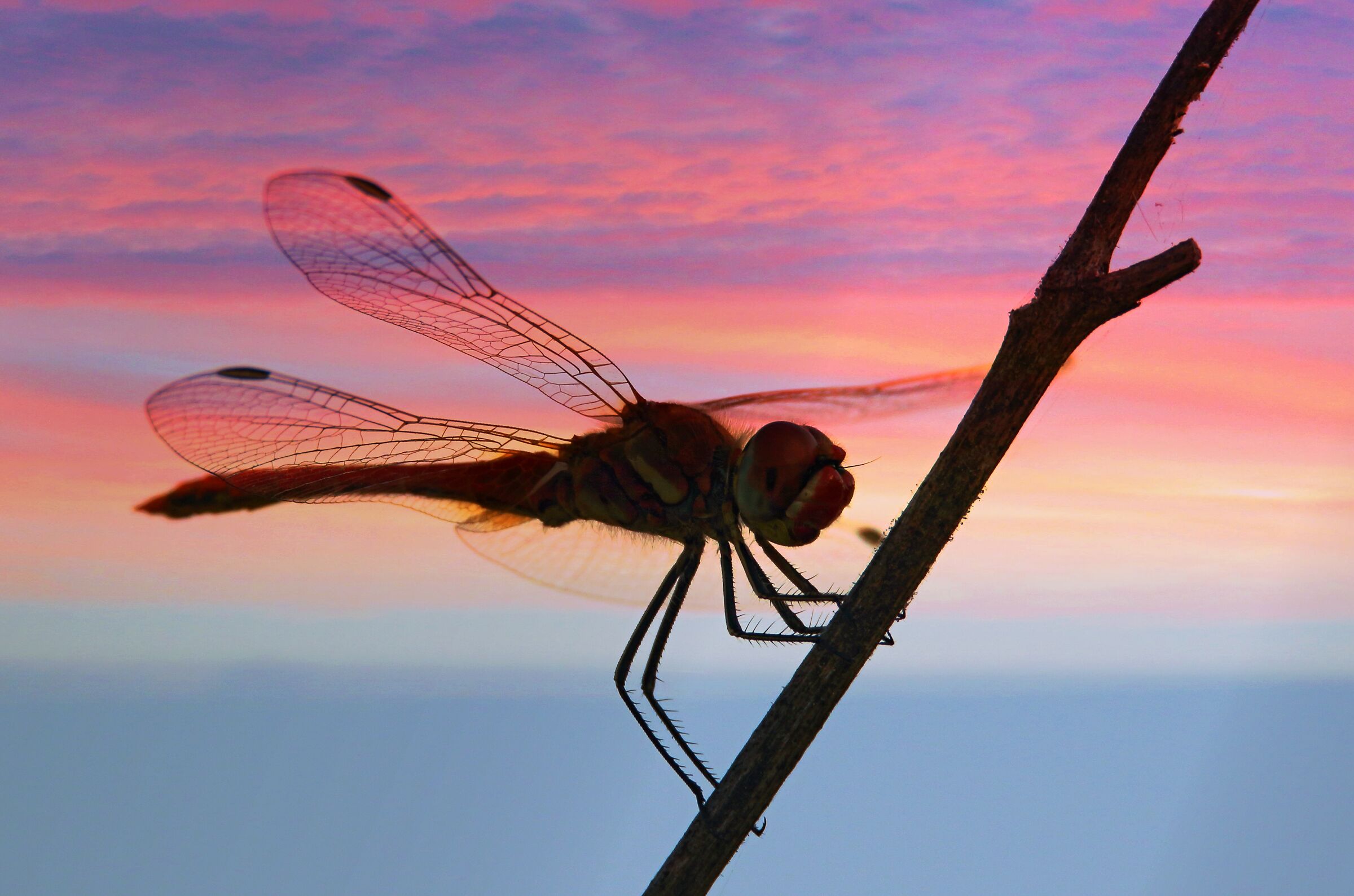 Tramonto di un giorno di luglio