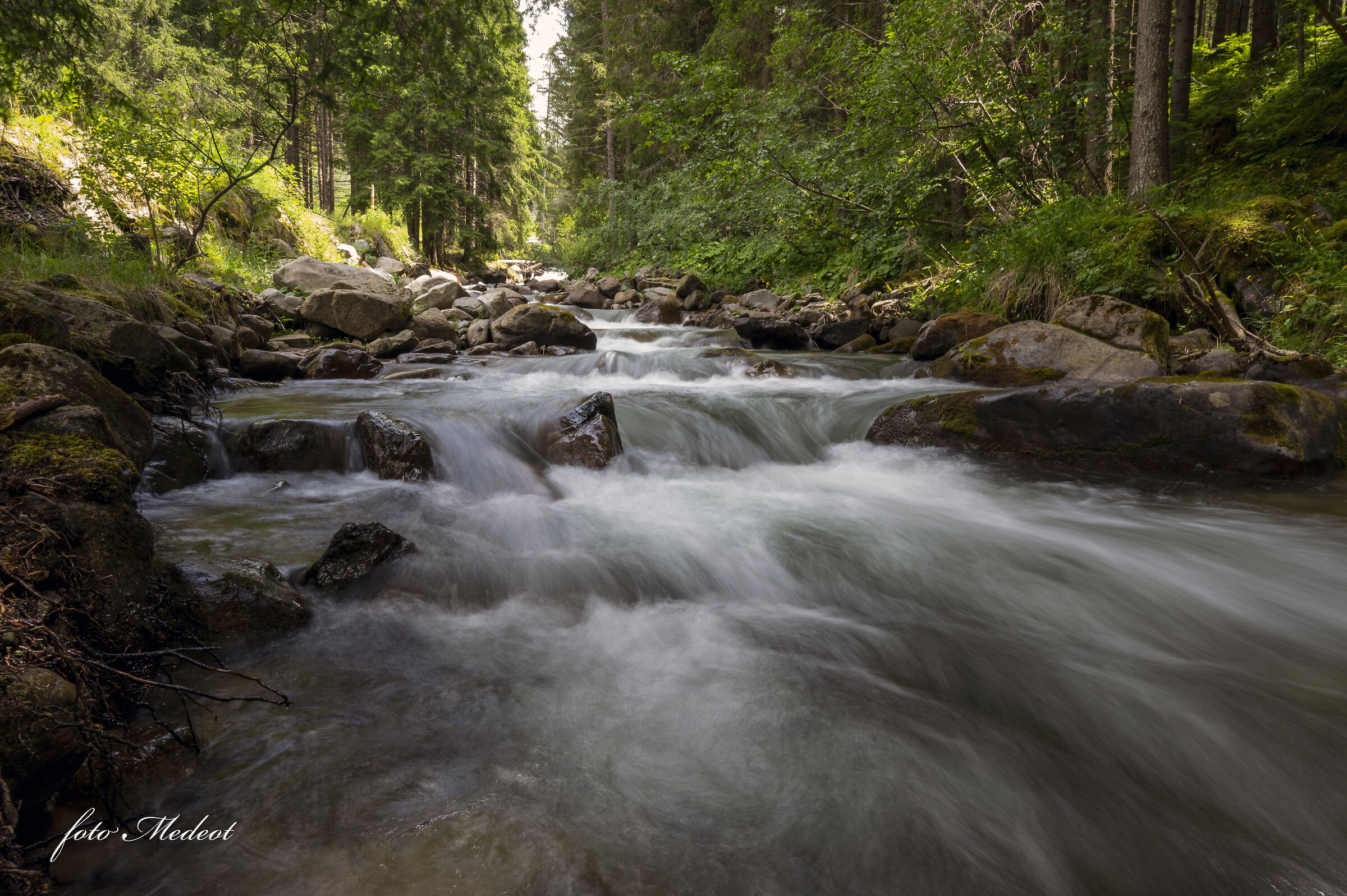 Passo San Pellegrino Trentino