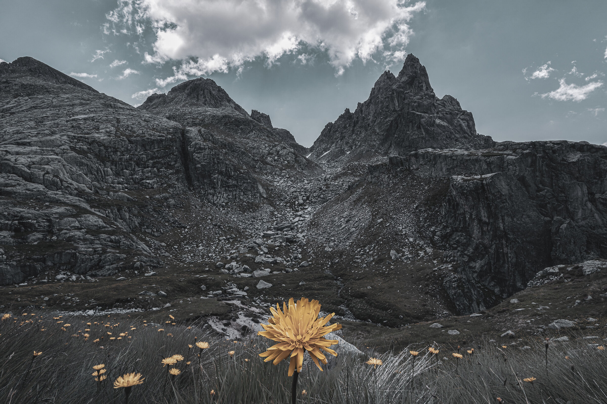 Sarò grande anch'io!