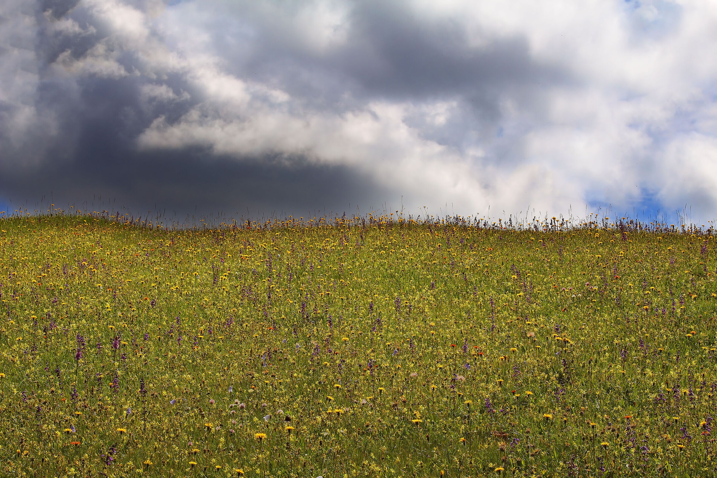 il mondo a colori...