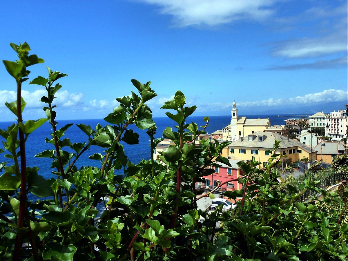 Chiese di Liguria, come navi disposte a esser varate