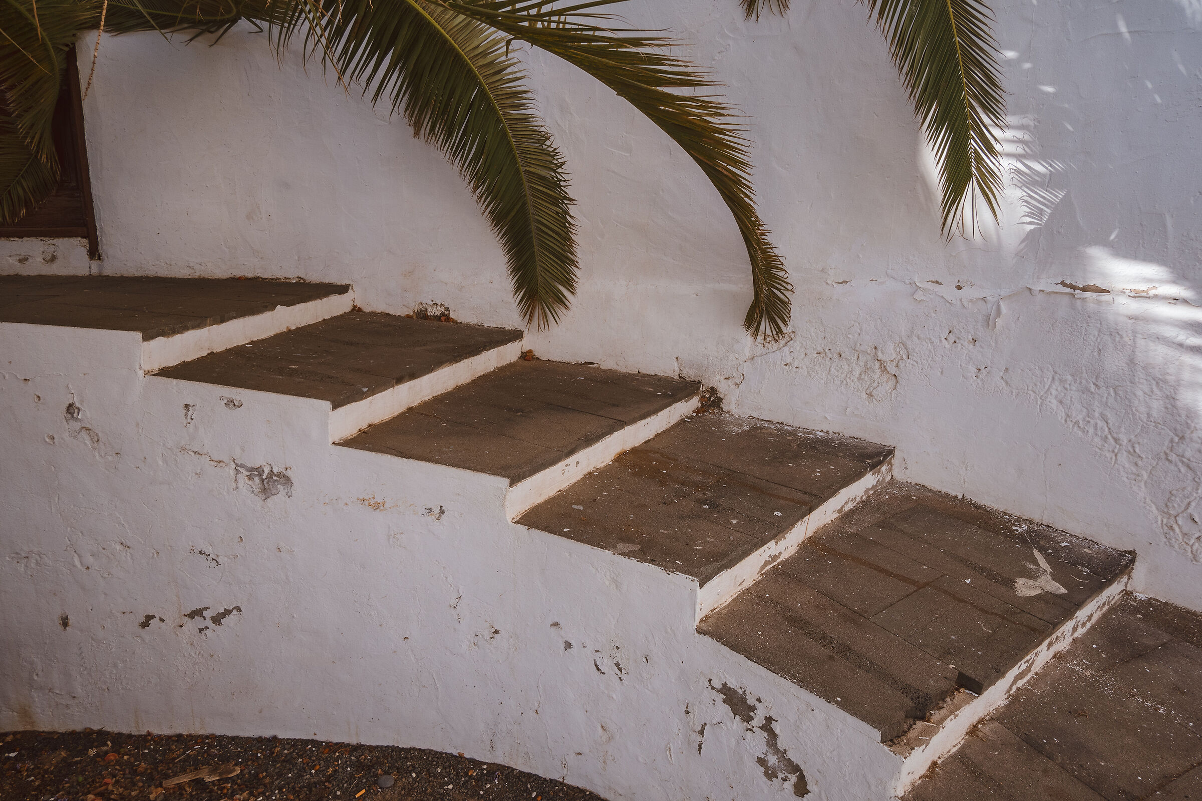 Palmera with escalera