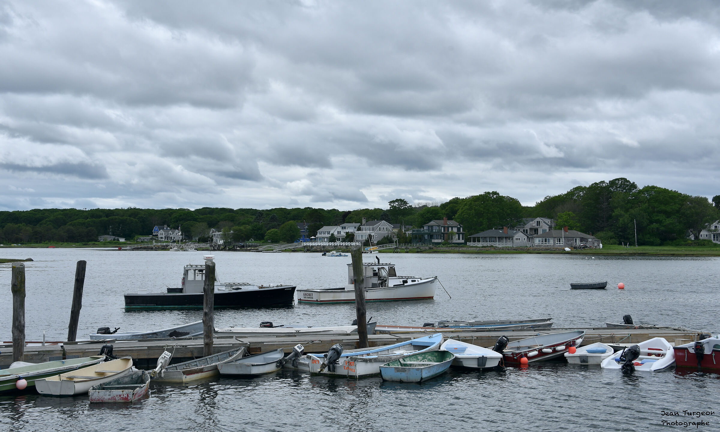 Paesaggio... parco...