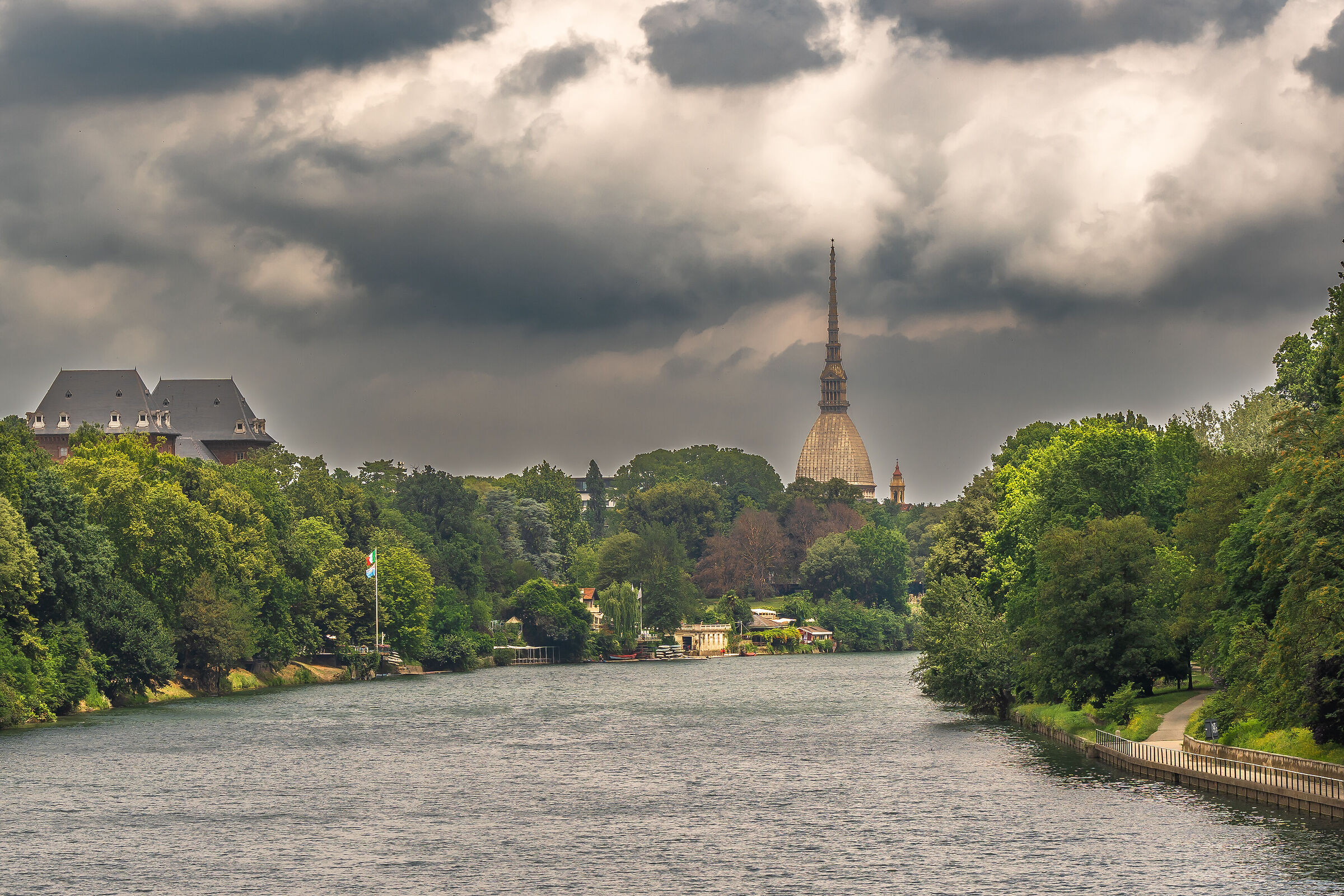 My metropolitan jungle...