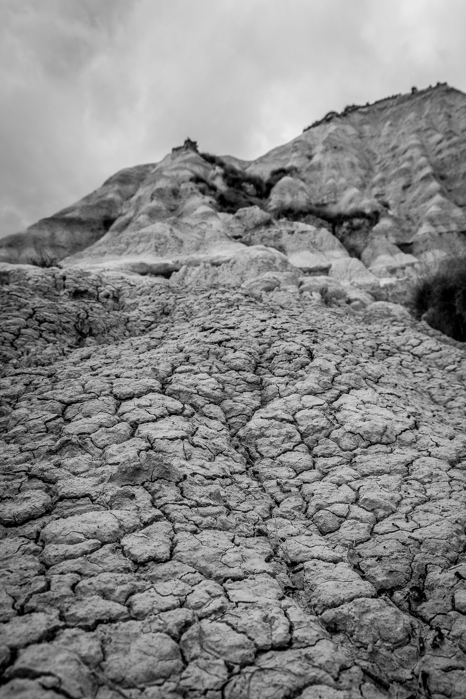 Aridità - Calanchi di Palizzi