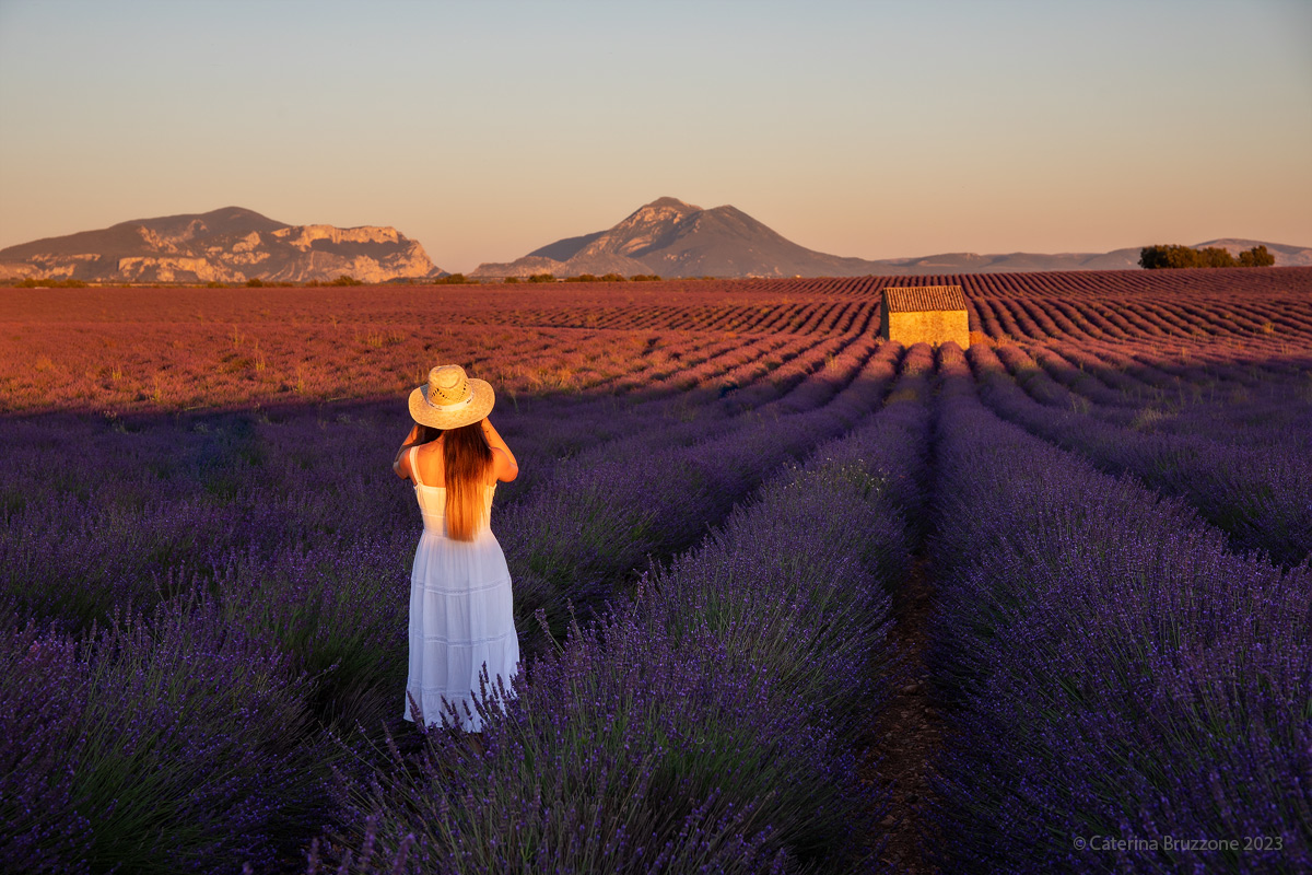 Farewell to a classic