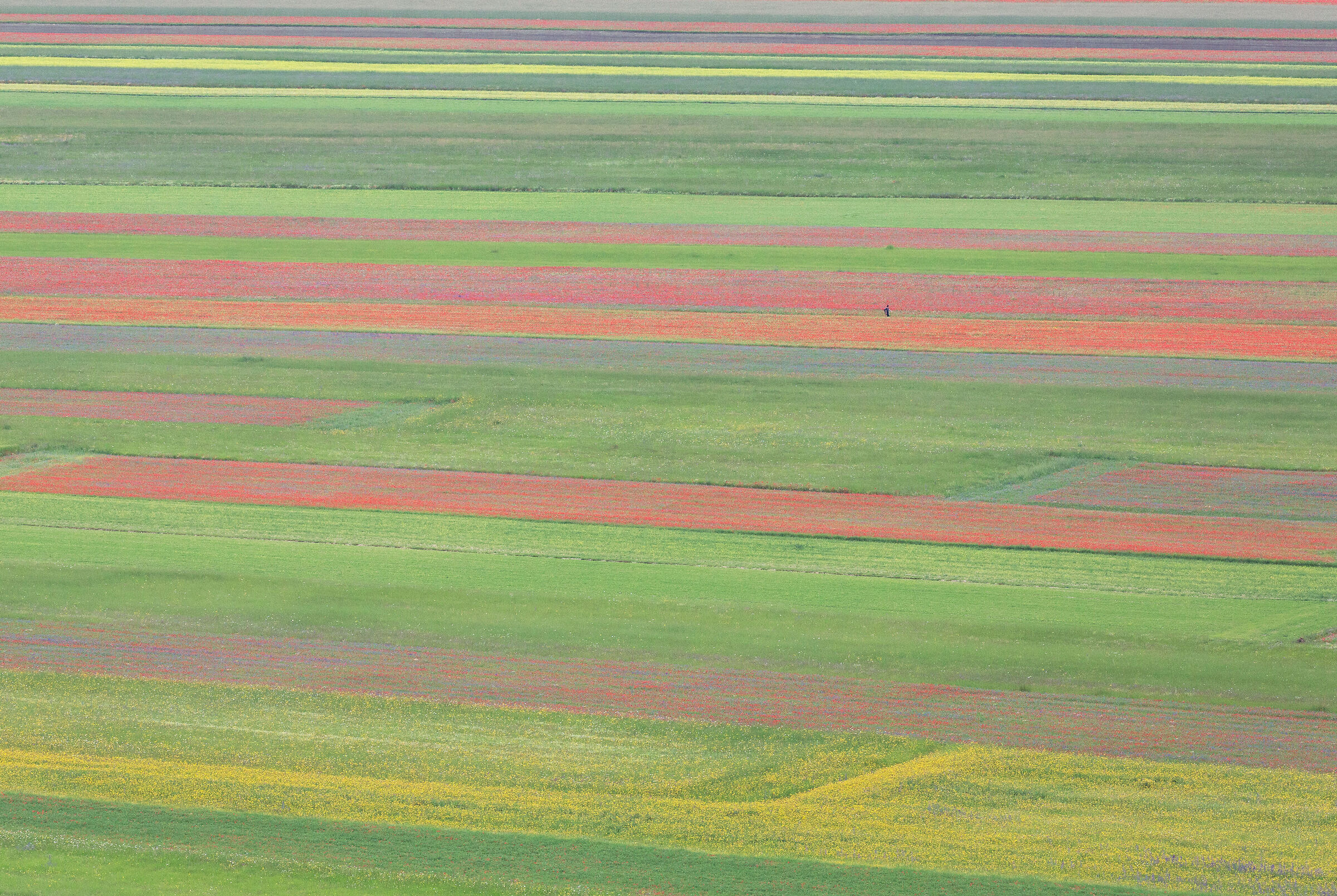 Pezze a colori...Castelluccio