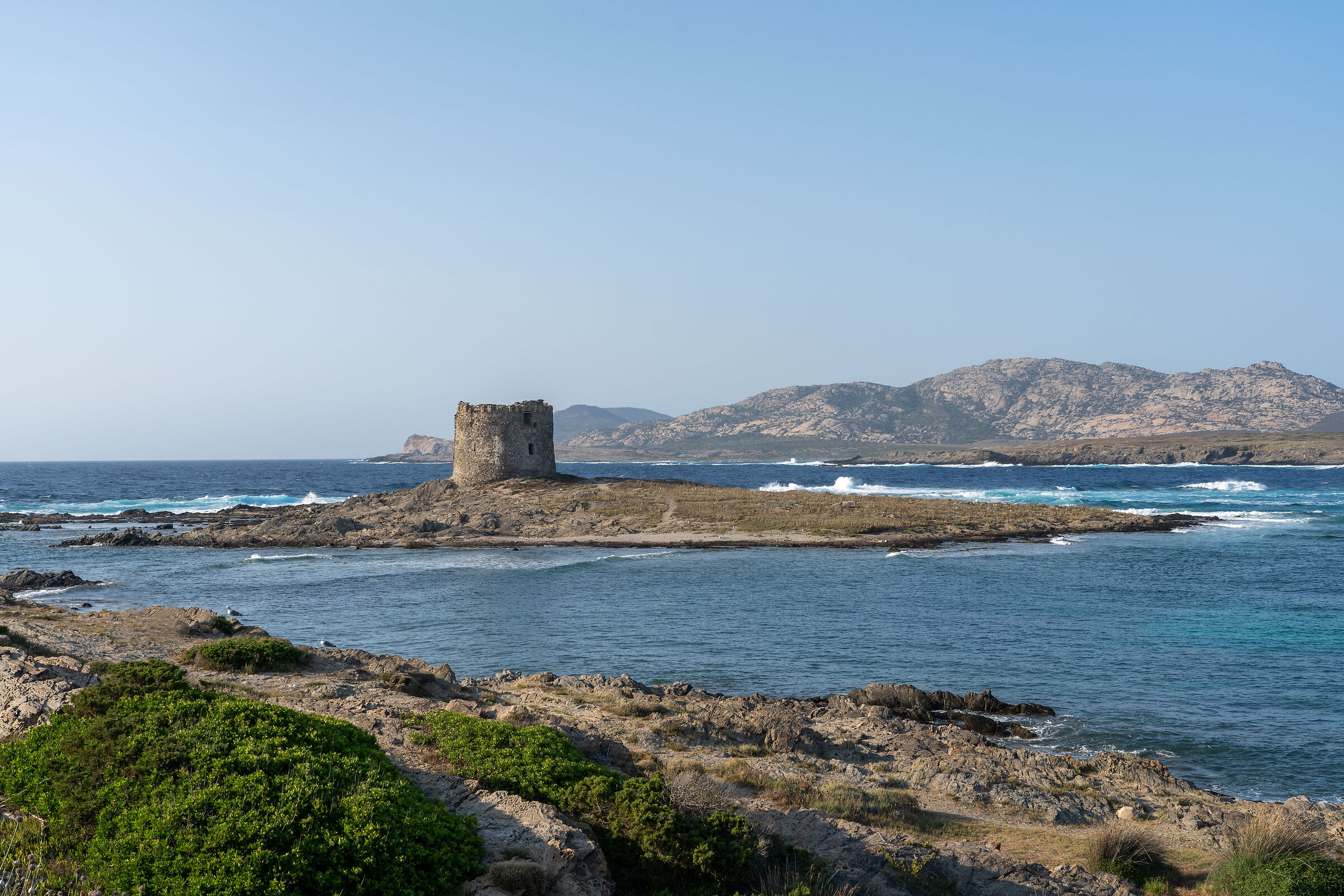 Cape Falcone