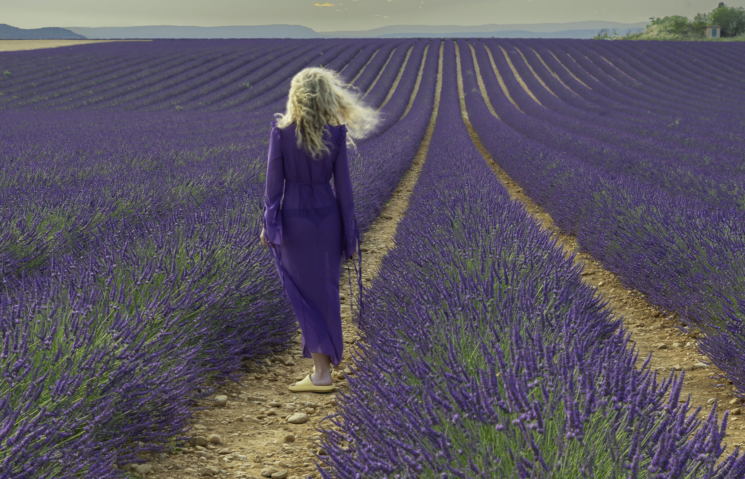 immersa in un mare di viola