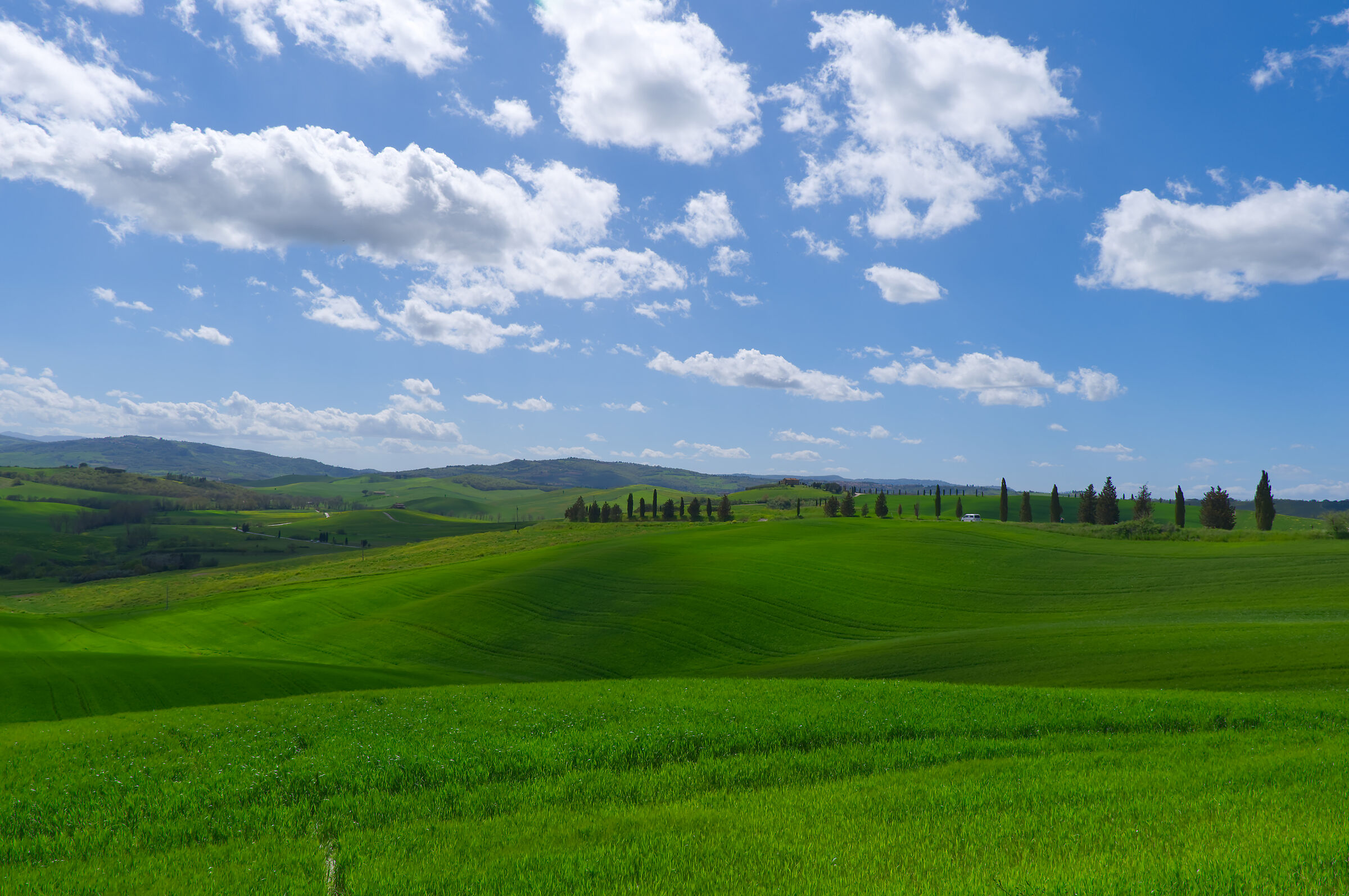 classic Tuscan
