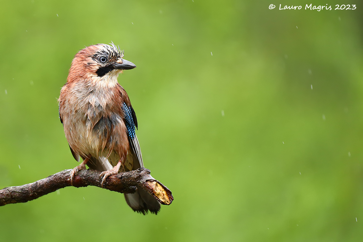 In attesa del sereno