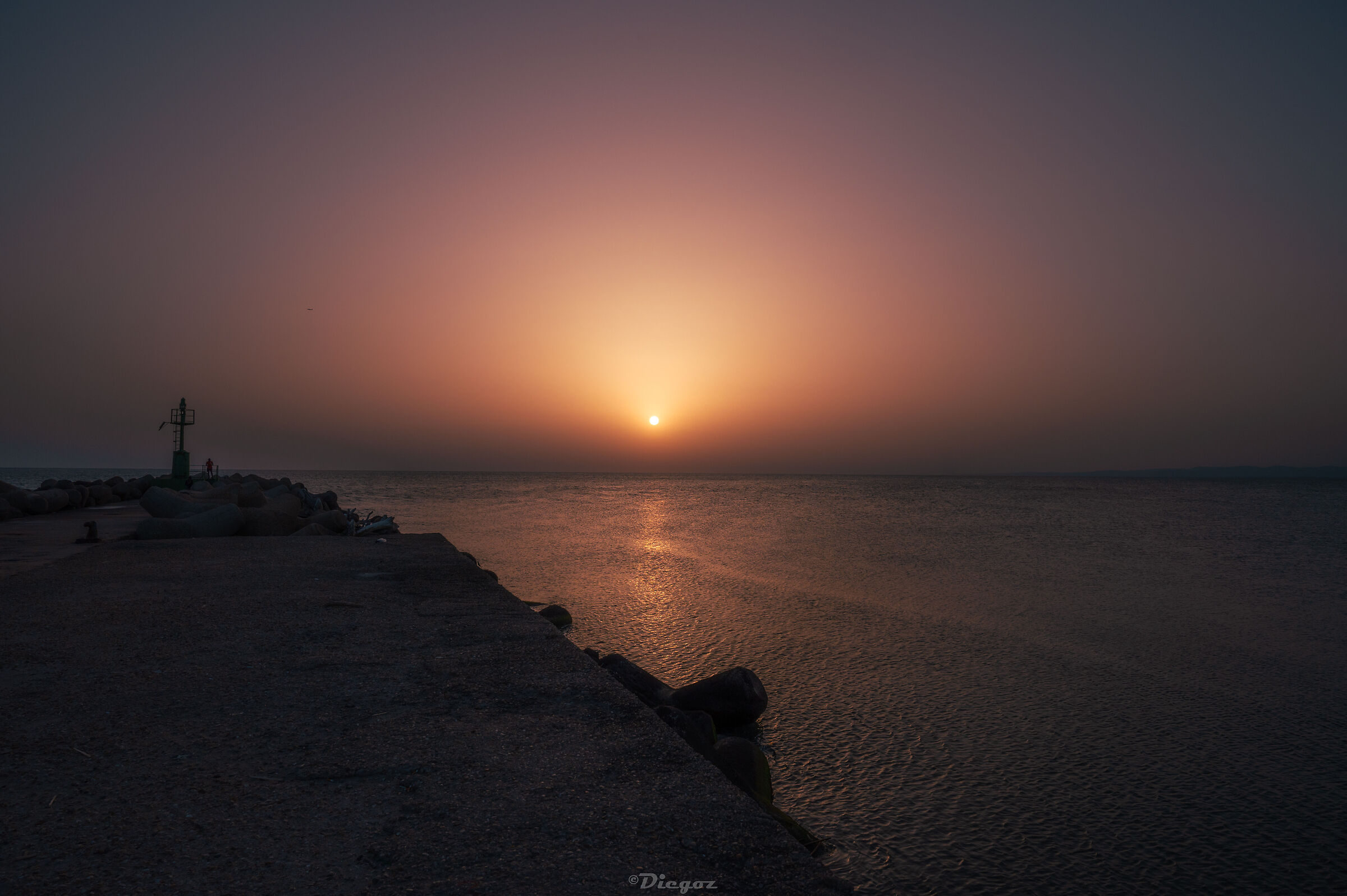 Untitled Photo