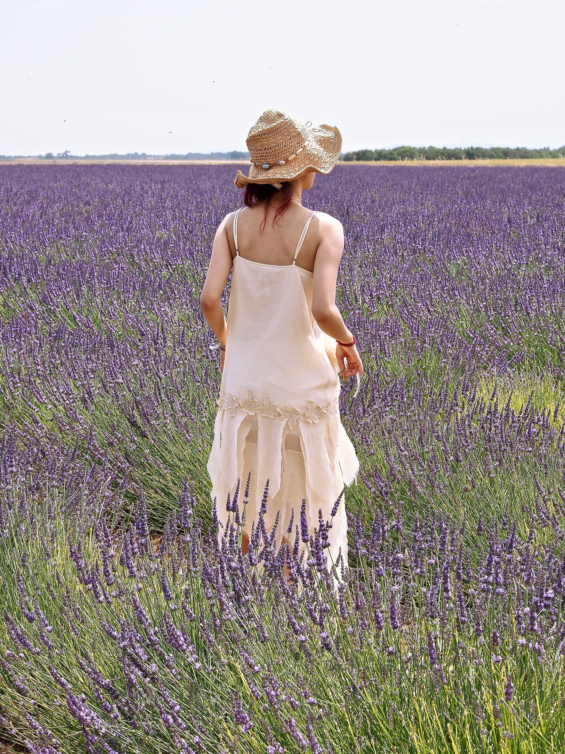 Admiring Provence