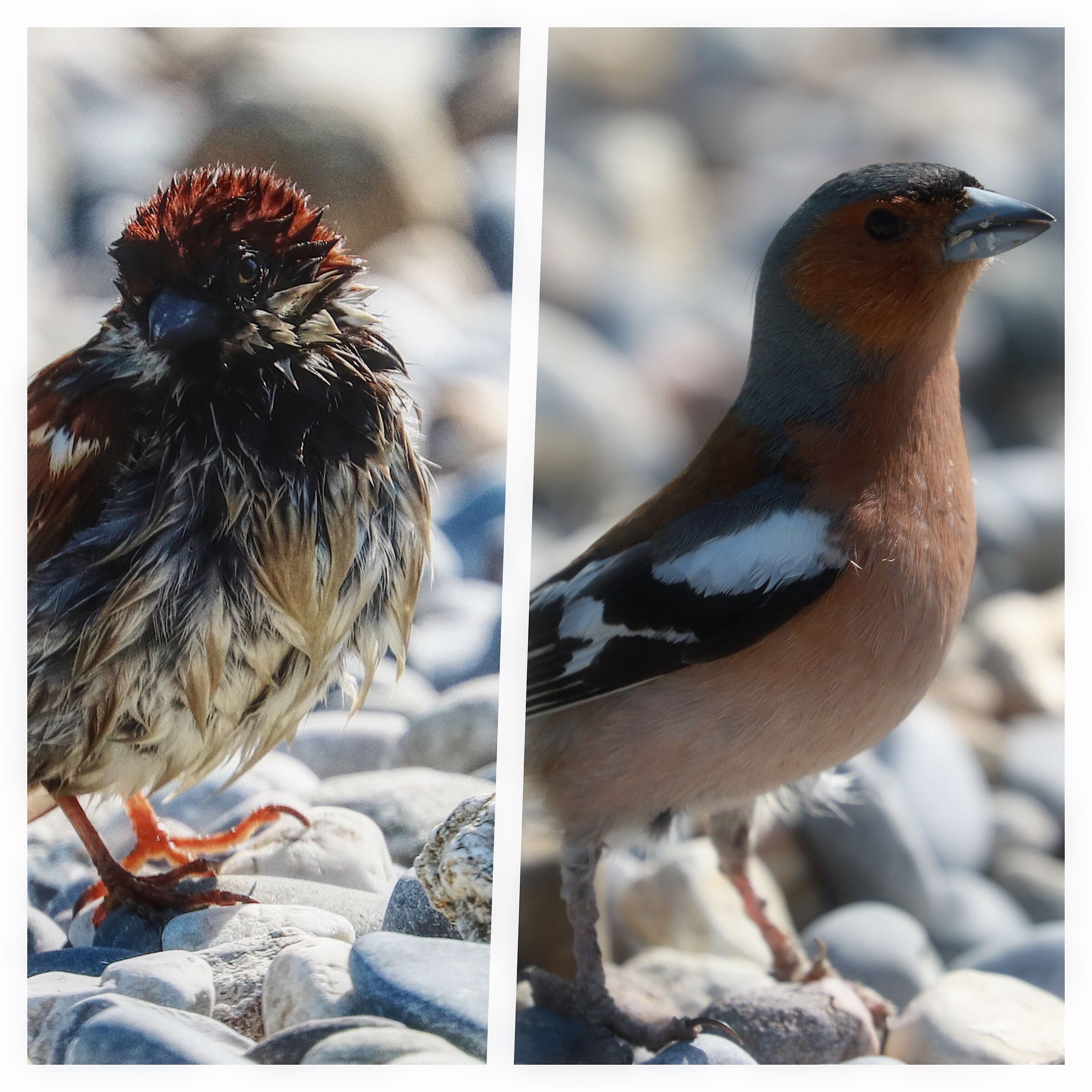 Prima e dopo il parrucchiere