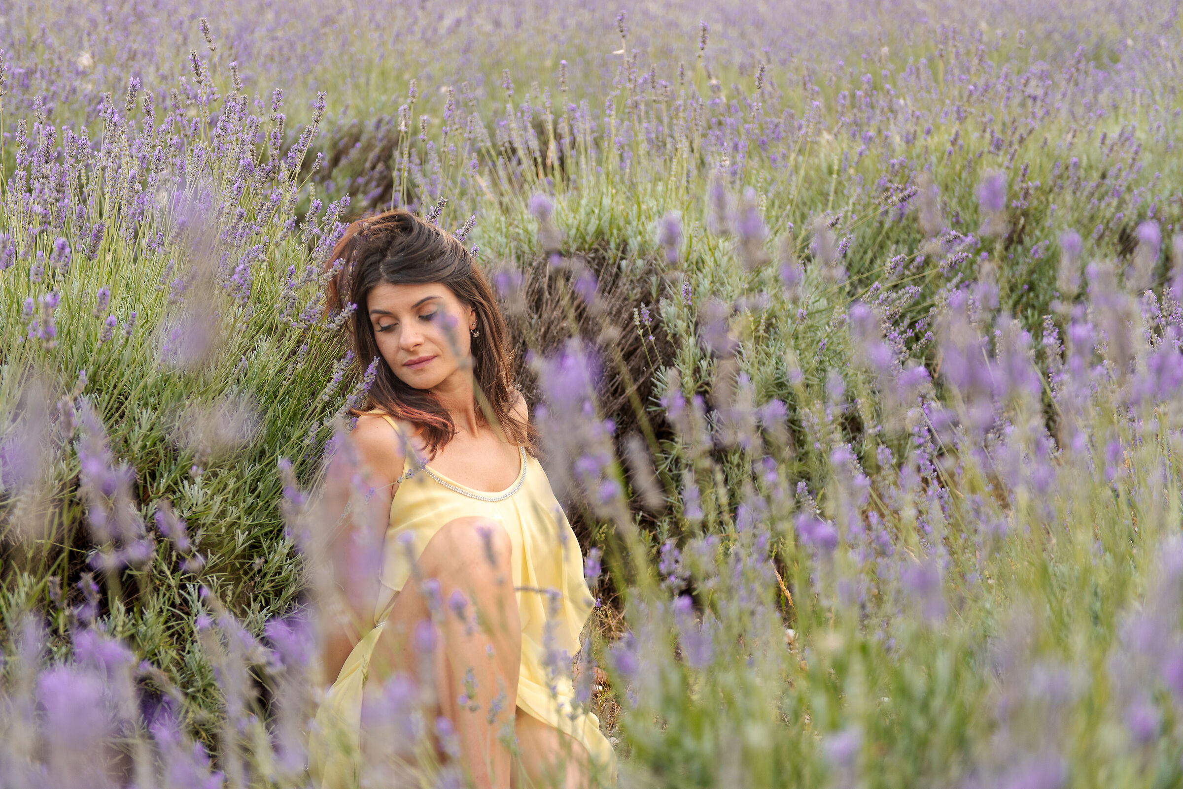 Relax in the lavender field