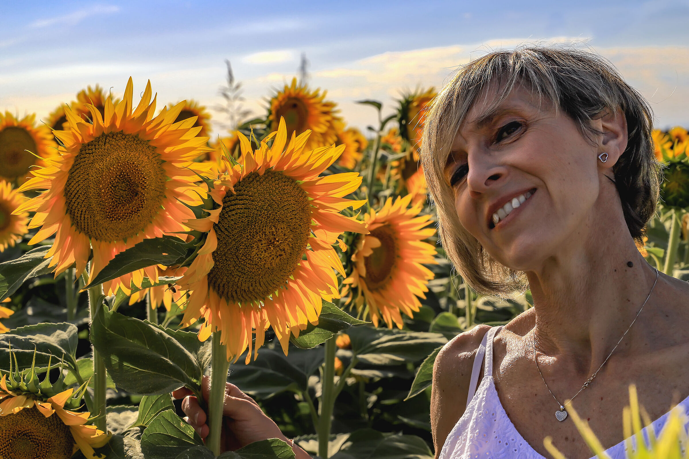 Monica and the magic of sunflowers