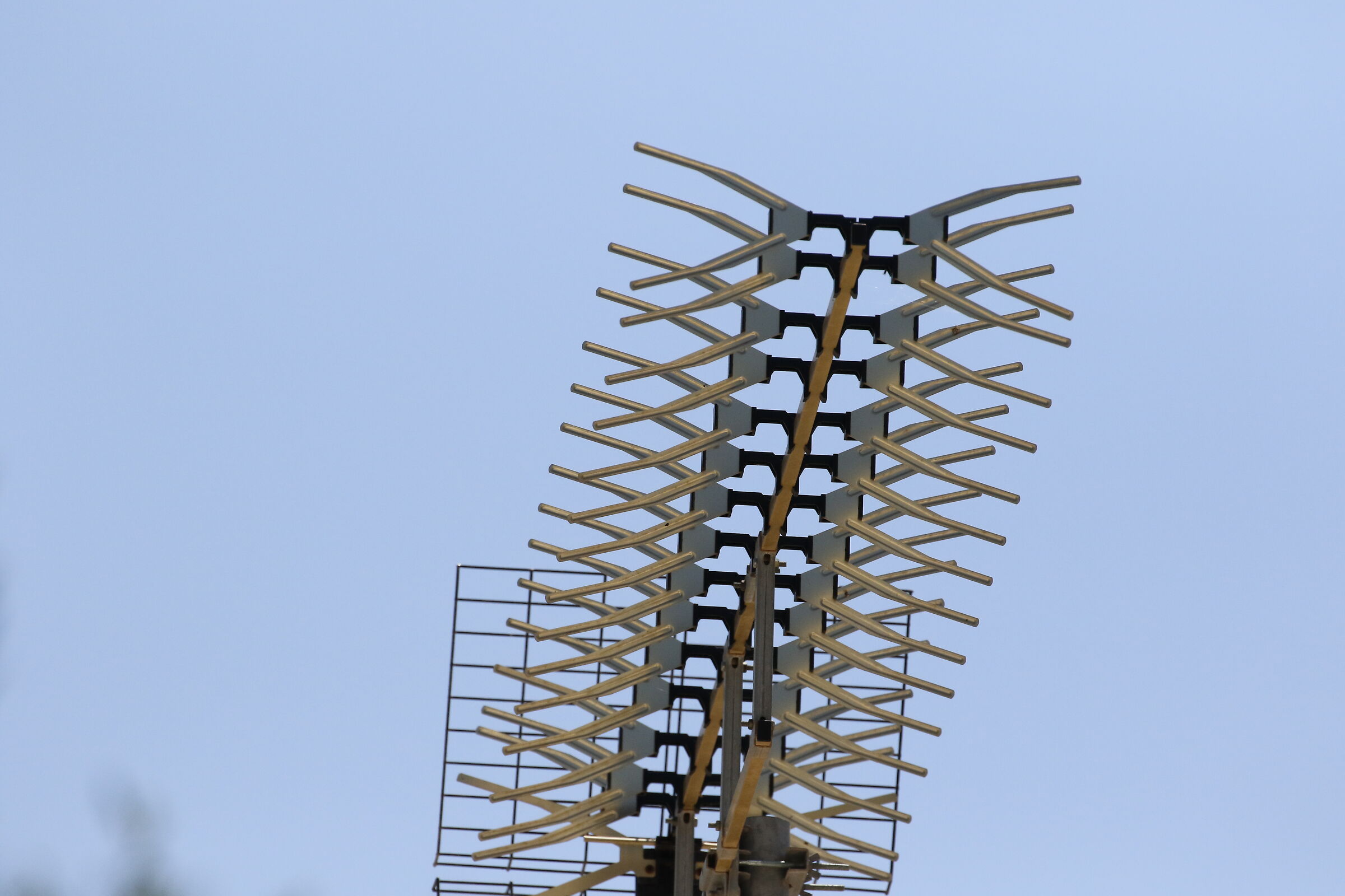 " Crop 6 Cento 40 ", Canon 100- 400 L II, 7 D II